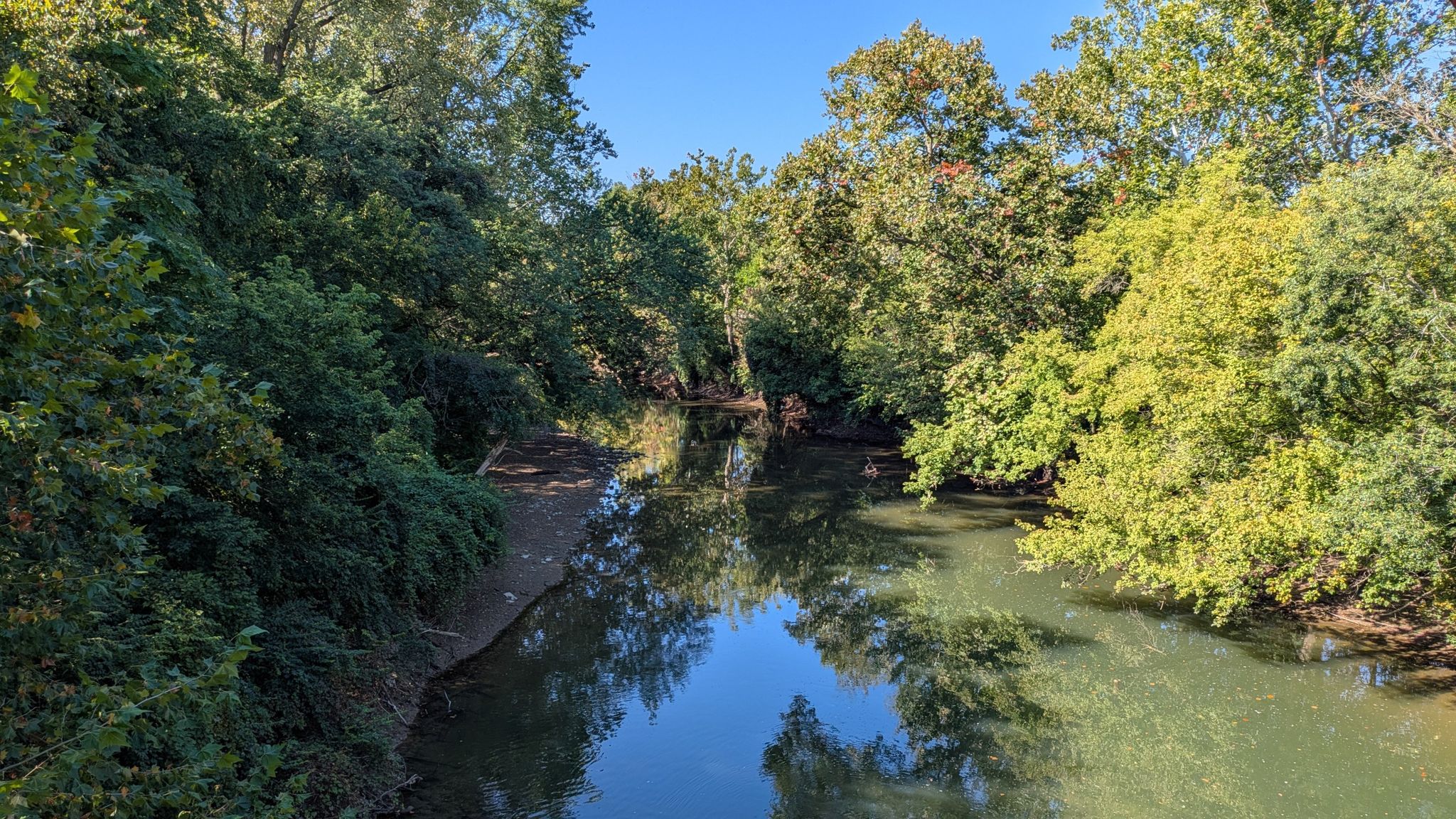 A calm river reflecting blue sky and dense green trees on a sunny day. - Running loop from Gainbridge Fieldhouse