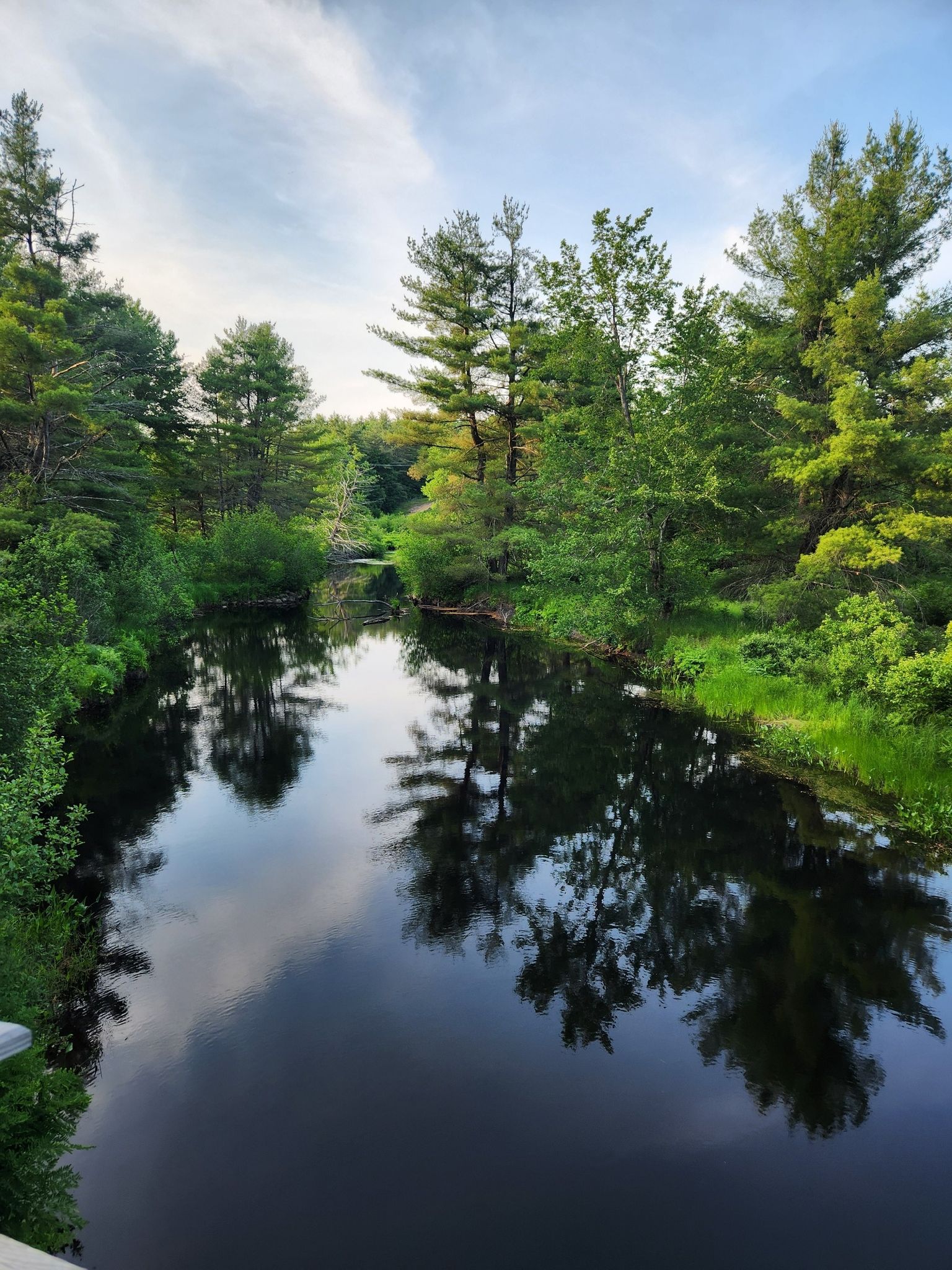 Calm river reflecting green trees and sky under soft light. - North Central Pathway – North Central Pathway loop from Gardner Public Schools