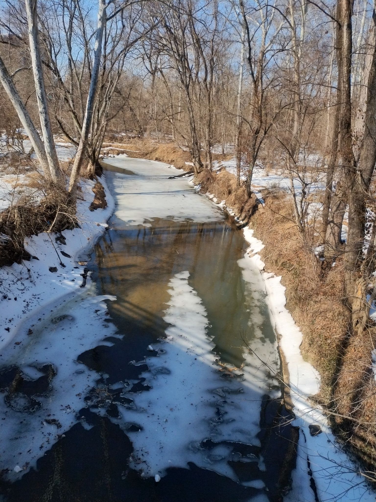 A partially frozen stream flows through a snowy, bare winter forest. - Rock Creek loop from Kensington