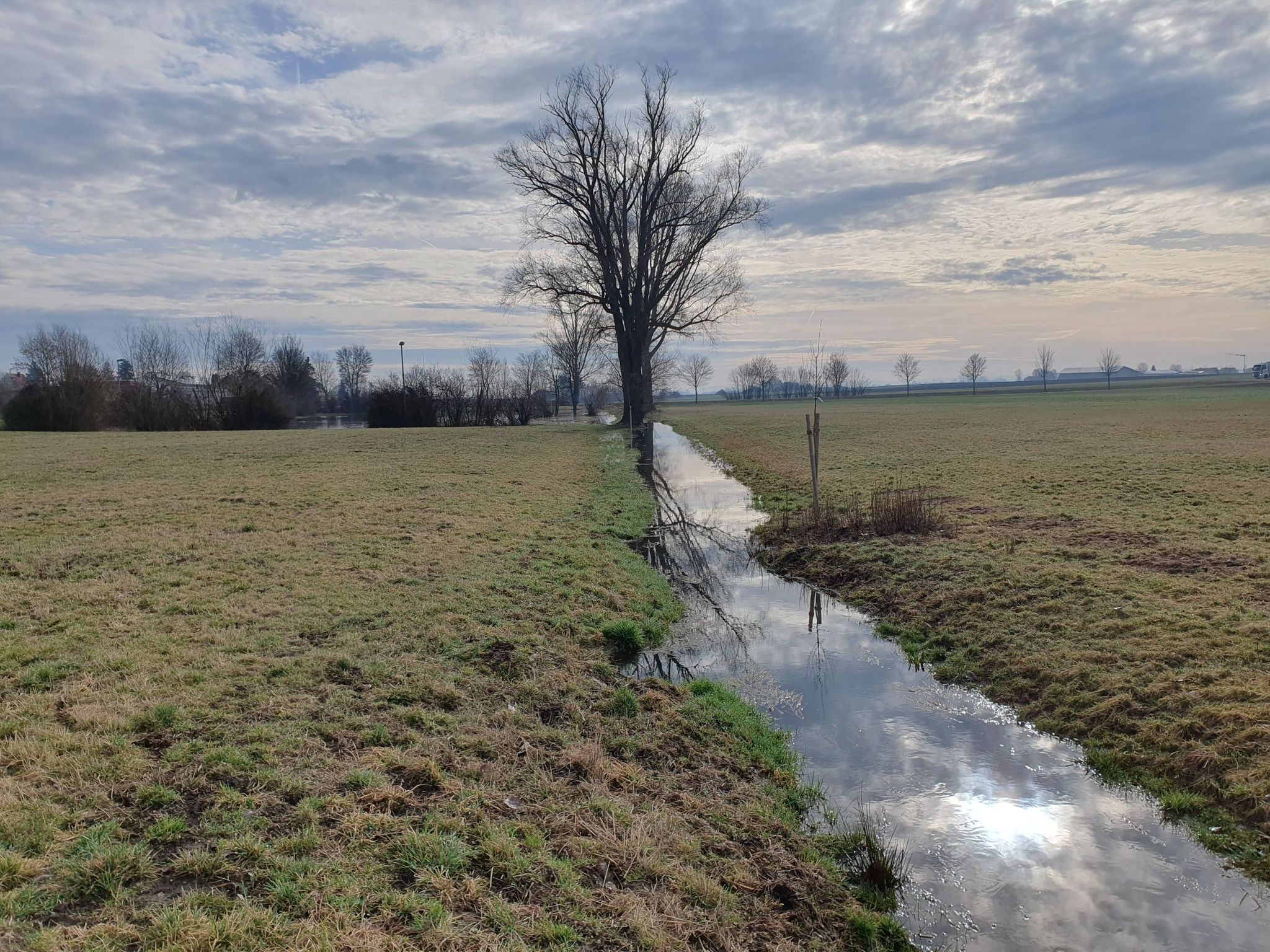 Entwässerungsgraben mit kleinem See