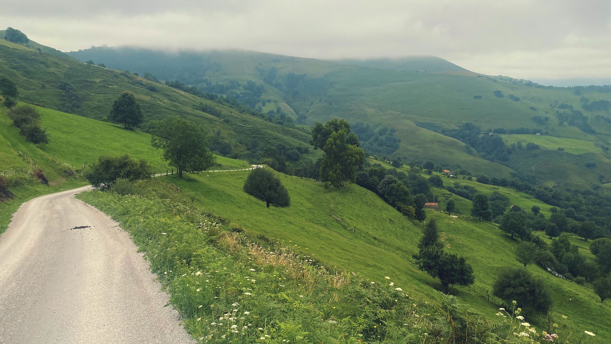 Descenso del Puerto de la Estranguada (Cantabria)