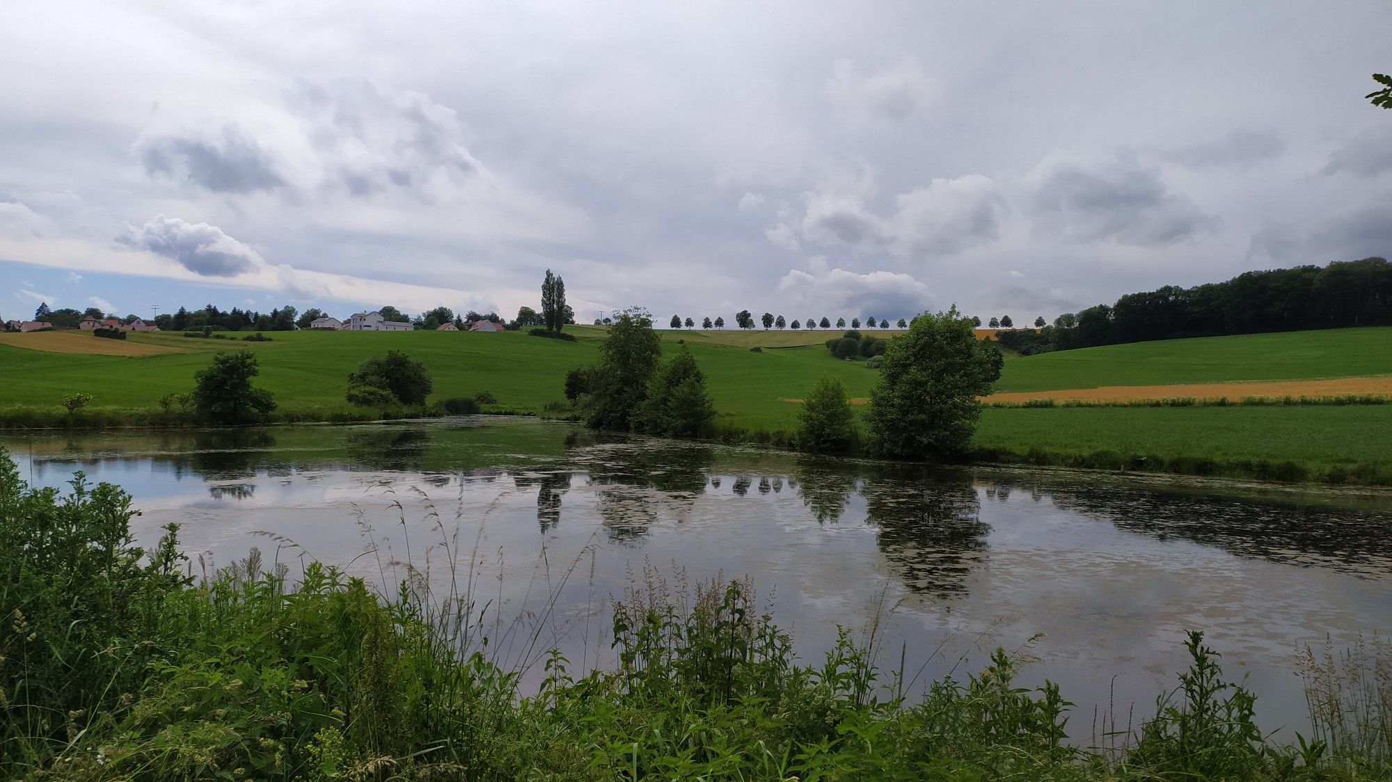 Sandweiher Gebenbach
