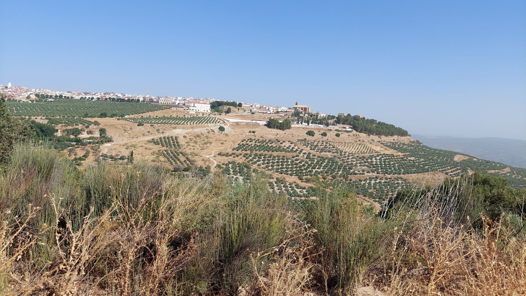 Vista7