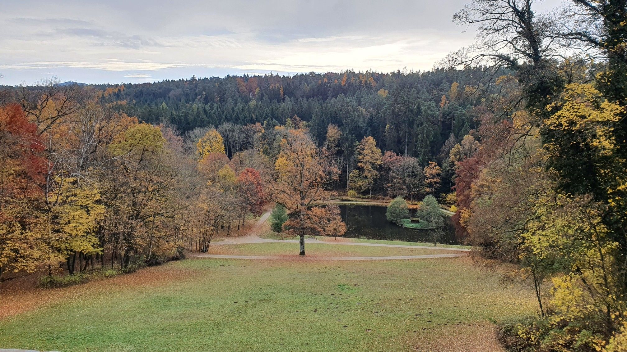 Blick zum Herzogweiher/im Wald ist Siegesturm