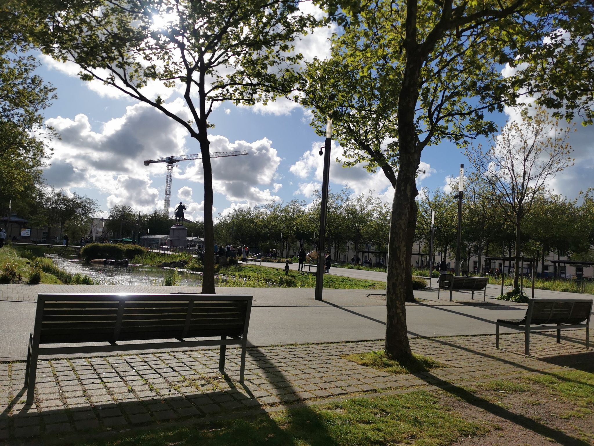 place Napoléon avec les animaux