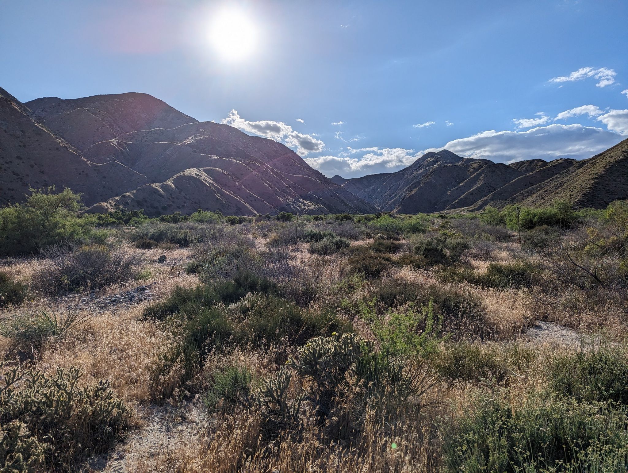 A sunny desert valley with scrub brush and mountains under a bright sky. - Whitewater River & Red Dome via PCT – San Bernardino National Forest