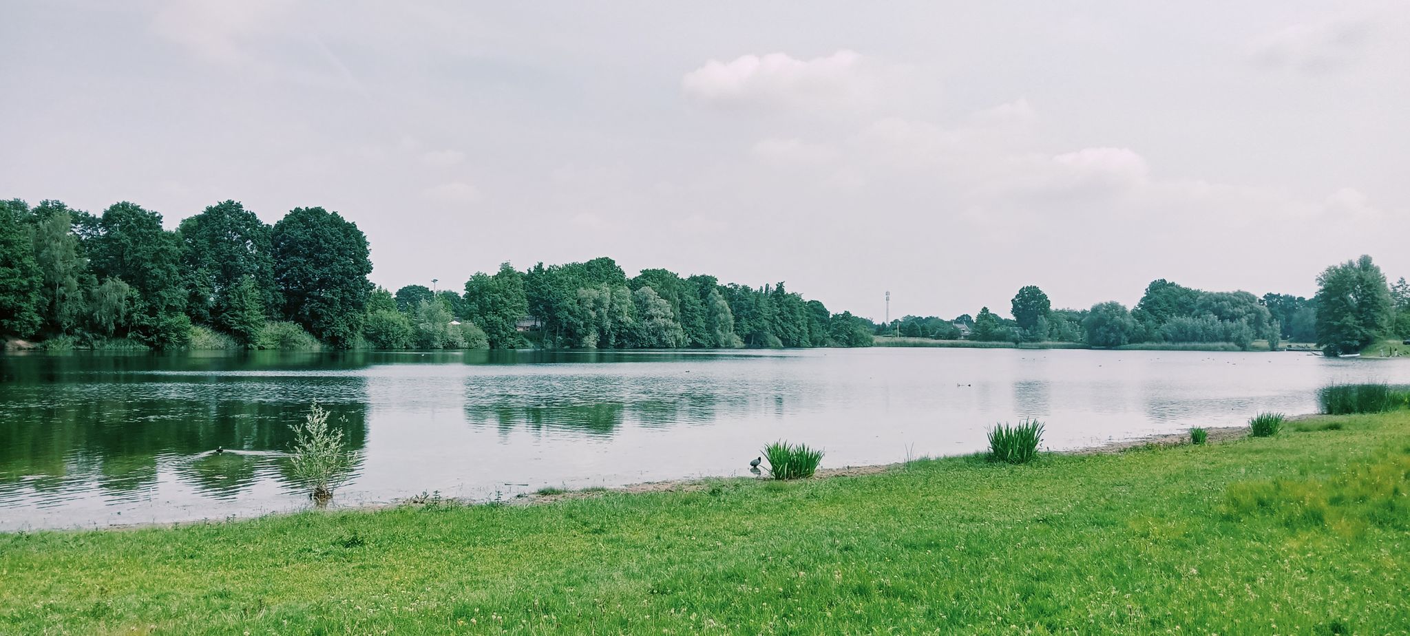 de Nevelhorst 