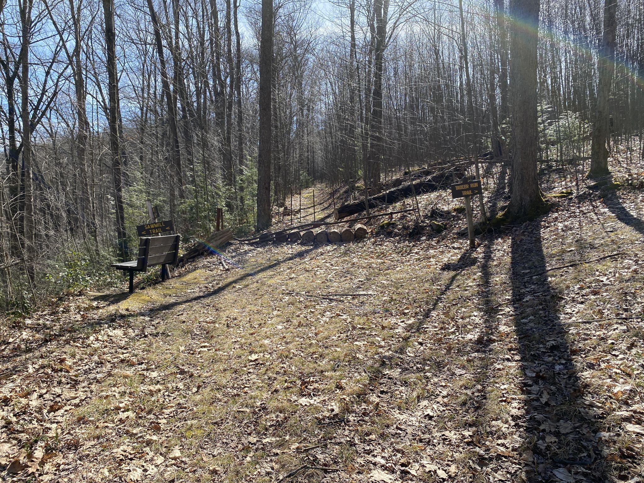 Sunny clearing in a bare forest with a wooden bench and hillside. - Clear Creek State Park loop from Clear Creek State Park