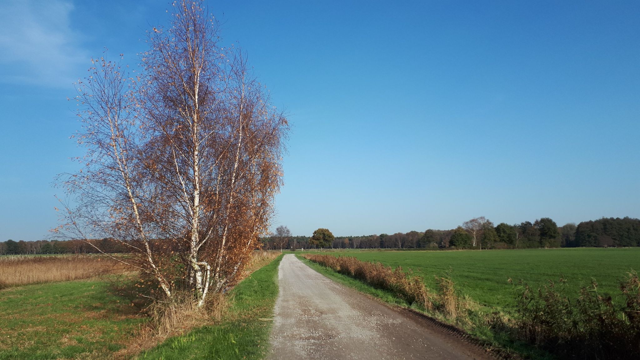Markenweg in Maria Veen