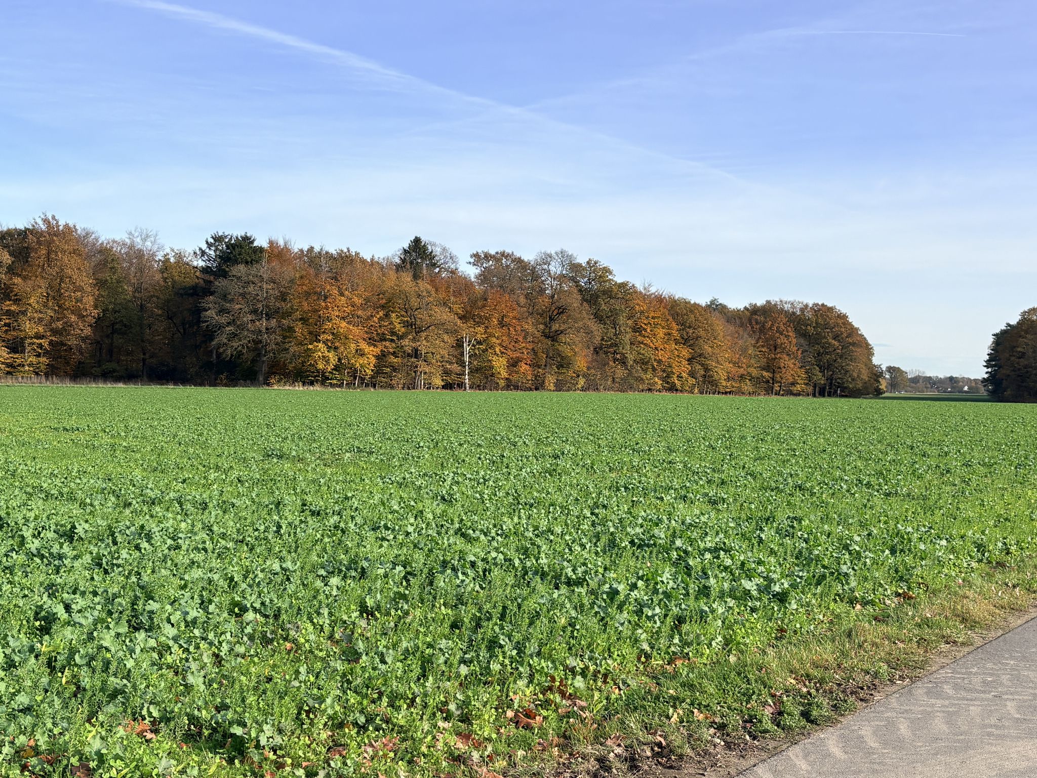 Dahlener Straße nach Rickelrath