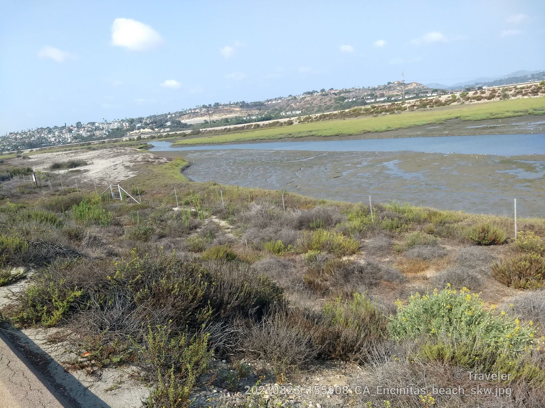 Sunny marshland view with a river, distant hills, and green vegetation. - San Elijo Lagoon Estuary Canal – Cardiff State Beach loop from Solana Beach