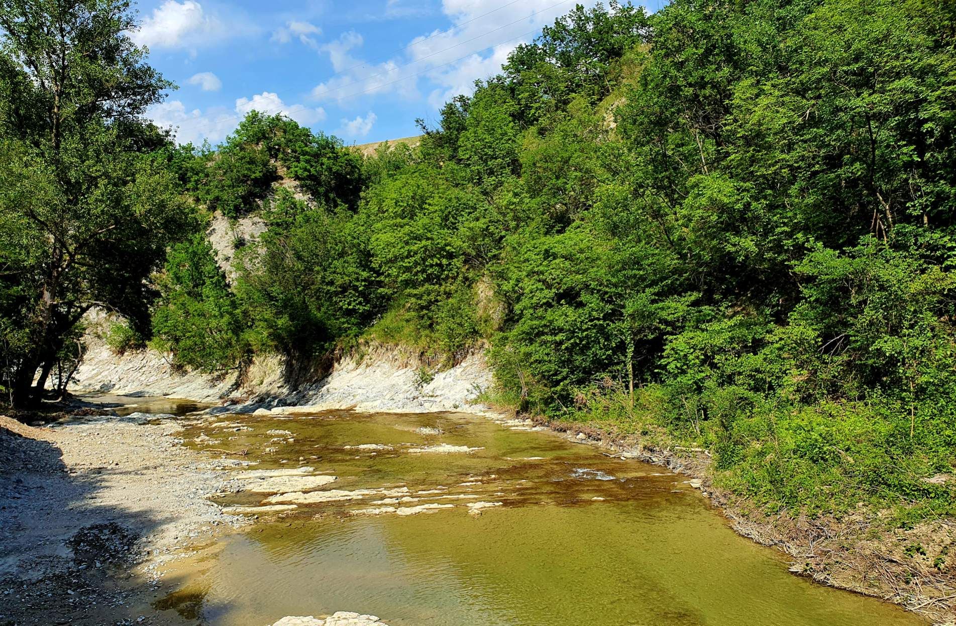 torrente zena