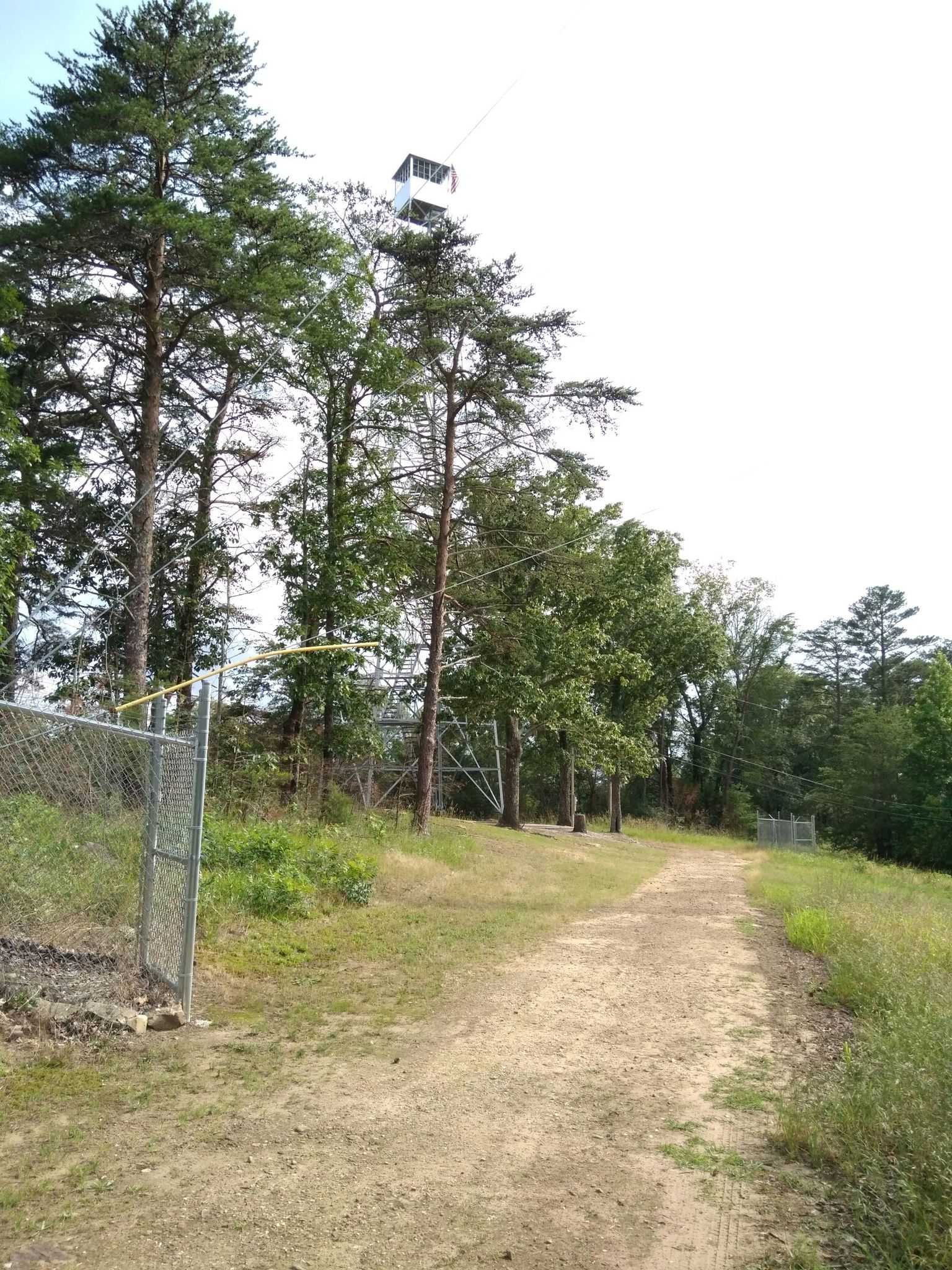 A dirt path leads towards a tall fire tower among green trees under a bright sky. - Palisades Park Nature Trail