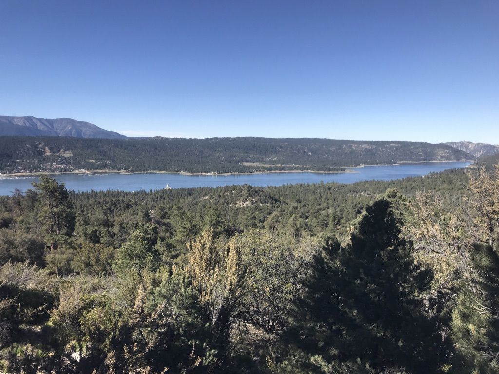 A wide view of a large lake surrounded by dense green forests. - Cougar Crest Trail