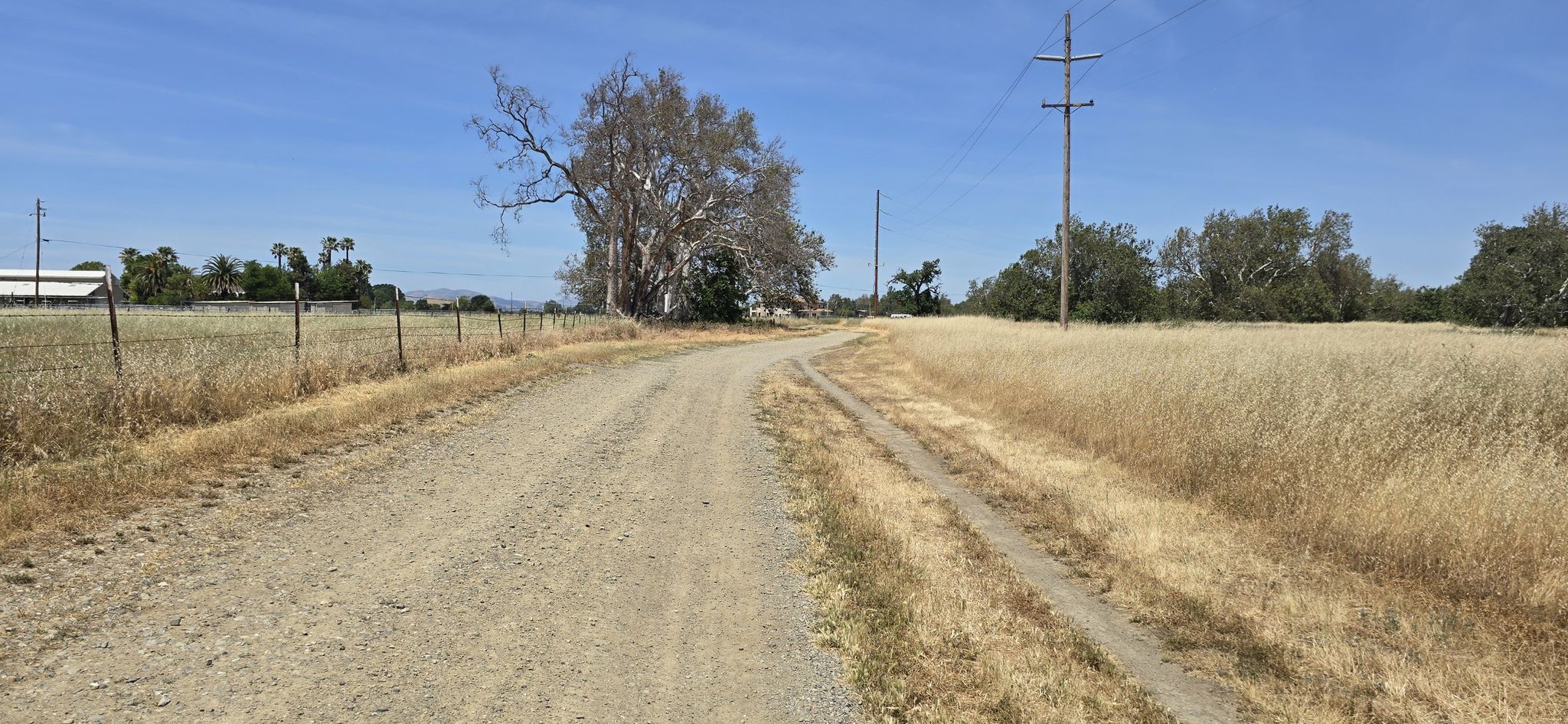Dirt road curving through golden fields with trees and power poles. - Wagon Road Trail to Cattail Pond Viewpoint