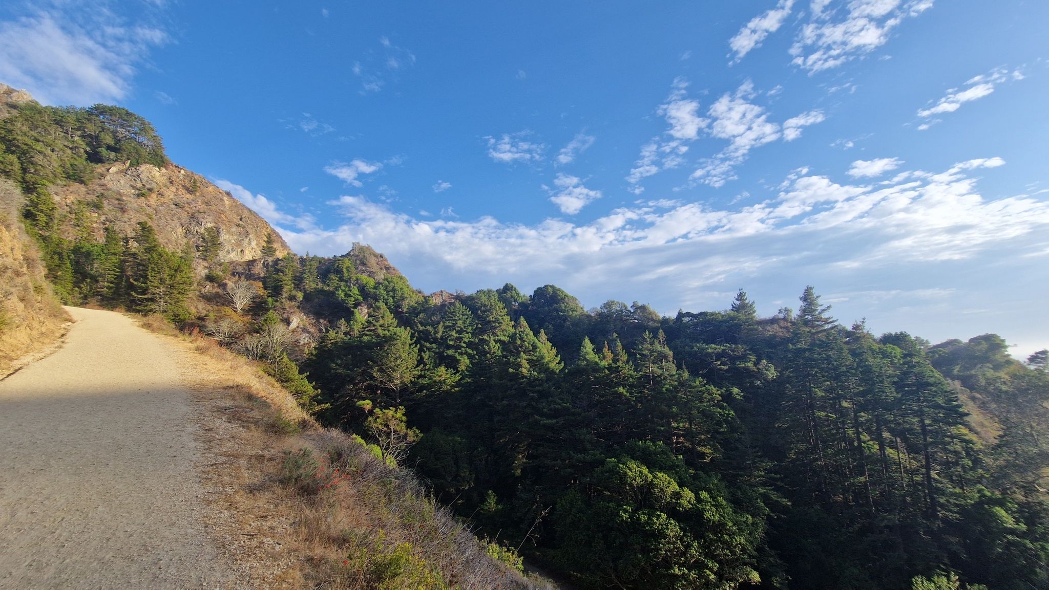 A dirt road winds along a forested hillside under a blue sky. - Partington Cove Trail