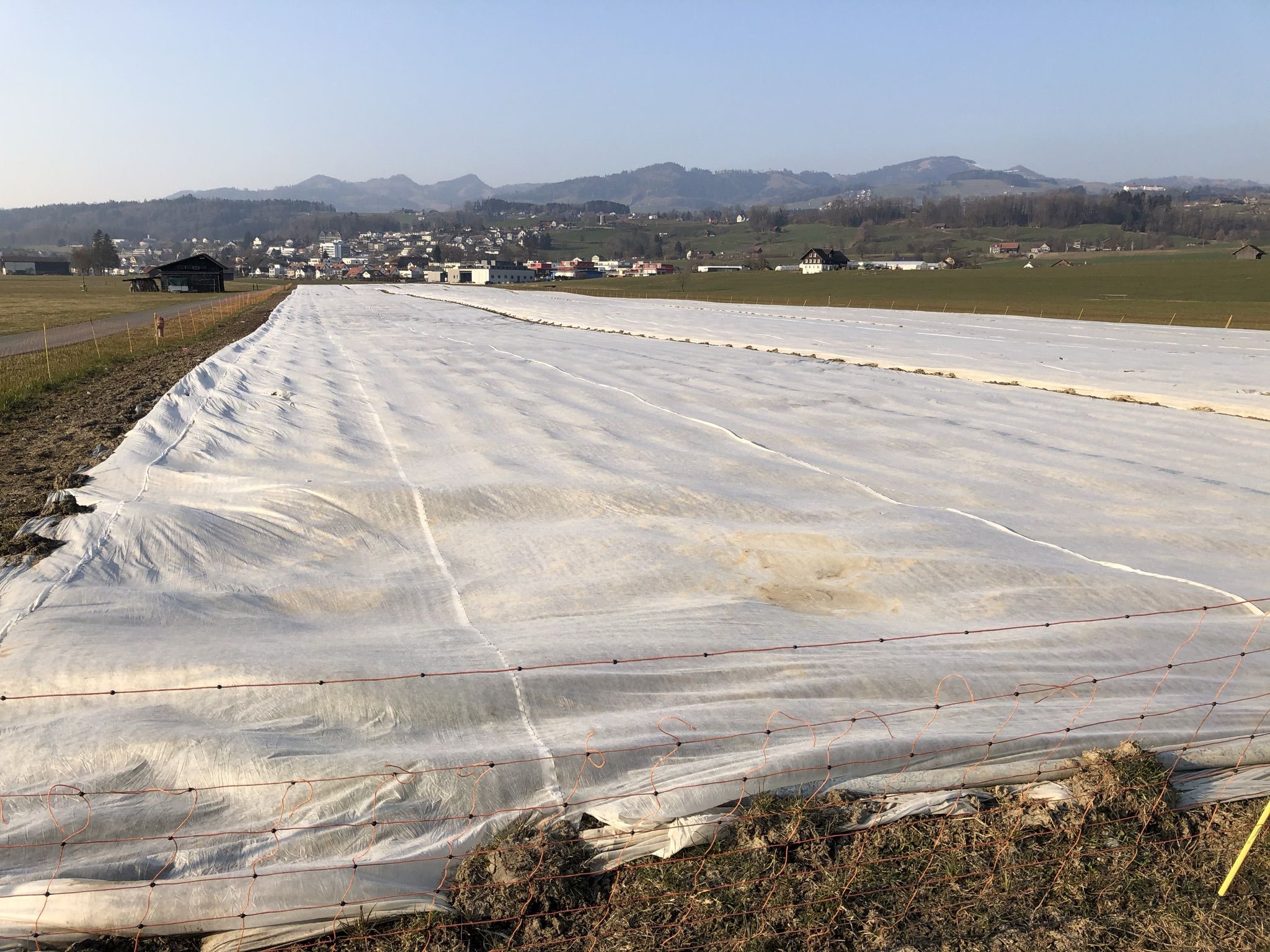 Gegenwind in der Linthebene