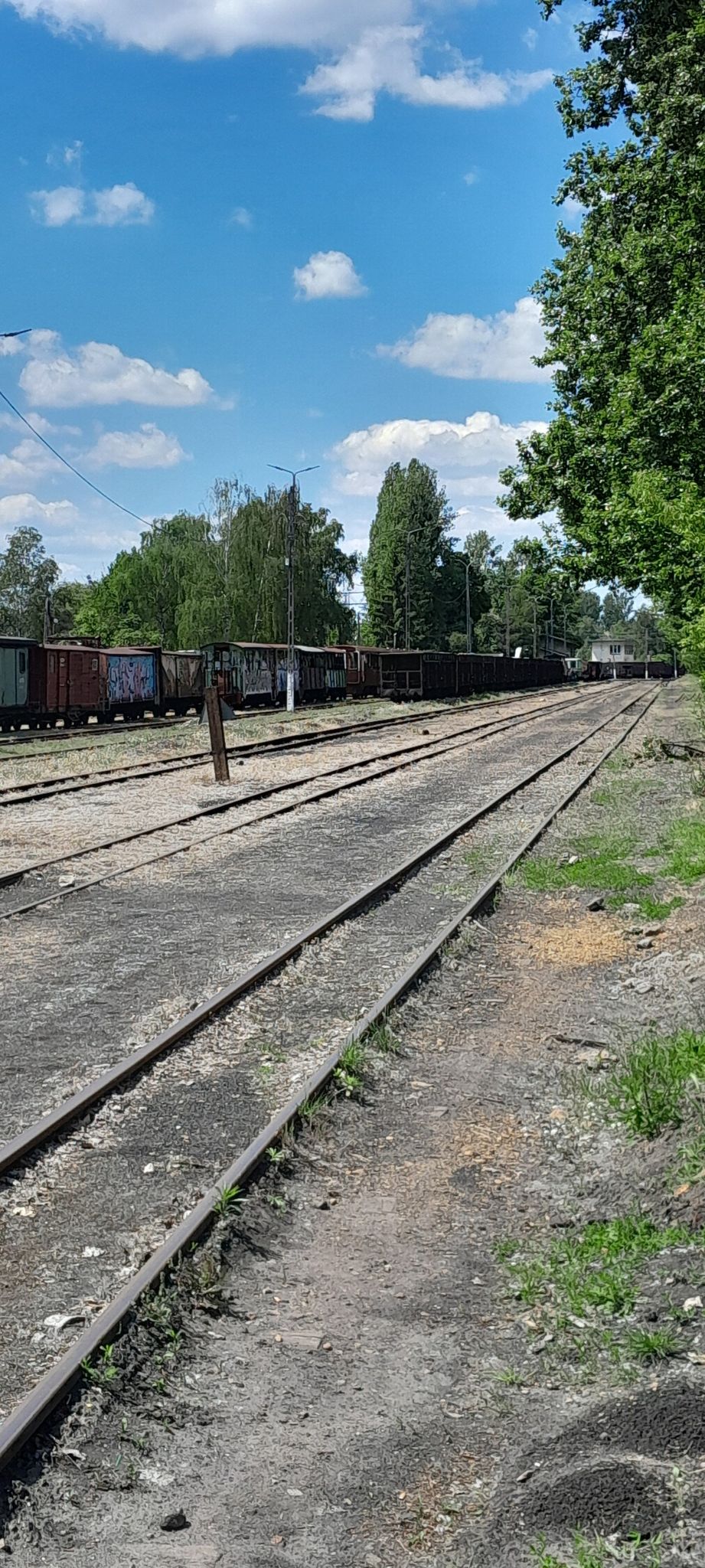 kolejka wąskotorowa Bytom