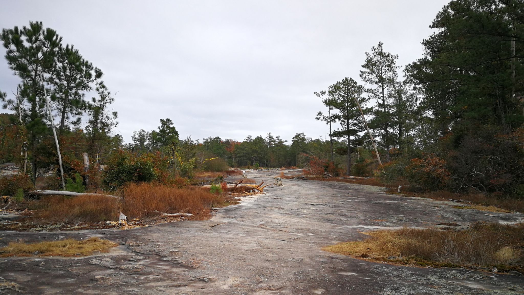 Expansive rocky landscape with scattered pine trees and dry vegetation under cloudy sky. - Arabia Mountain Peak loop from Arabia Mountain