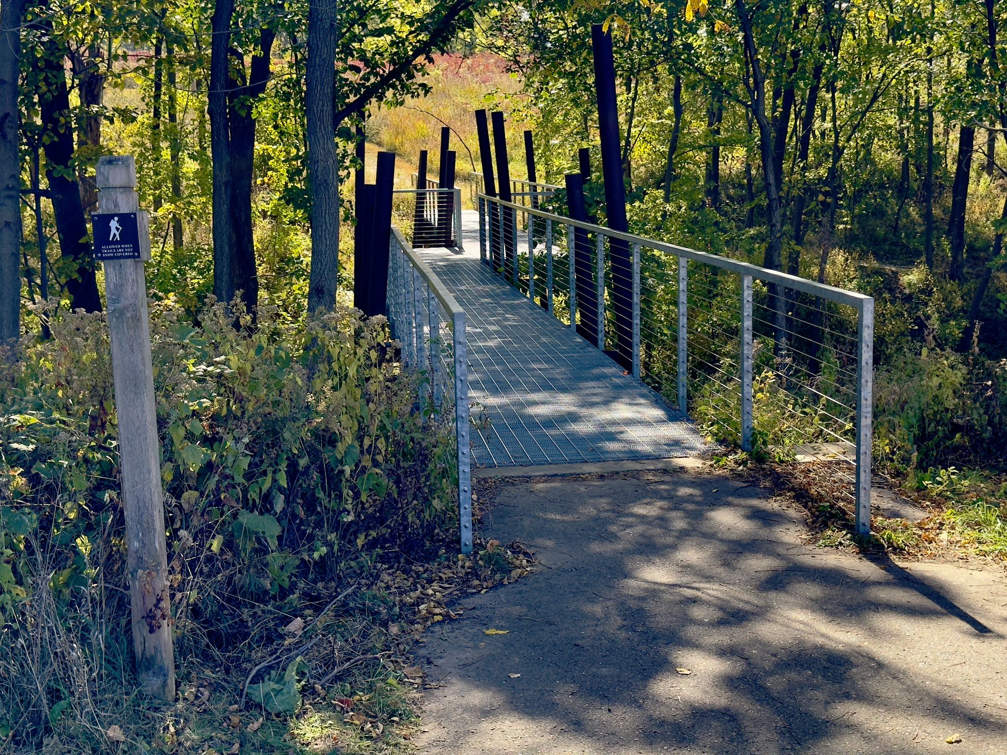 Metal bridge over a ravine in a sunlit forest with a trail sign. - Schaar's Bluff Trail