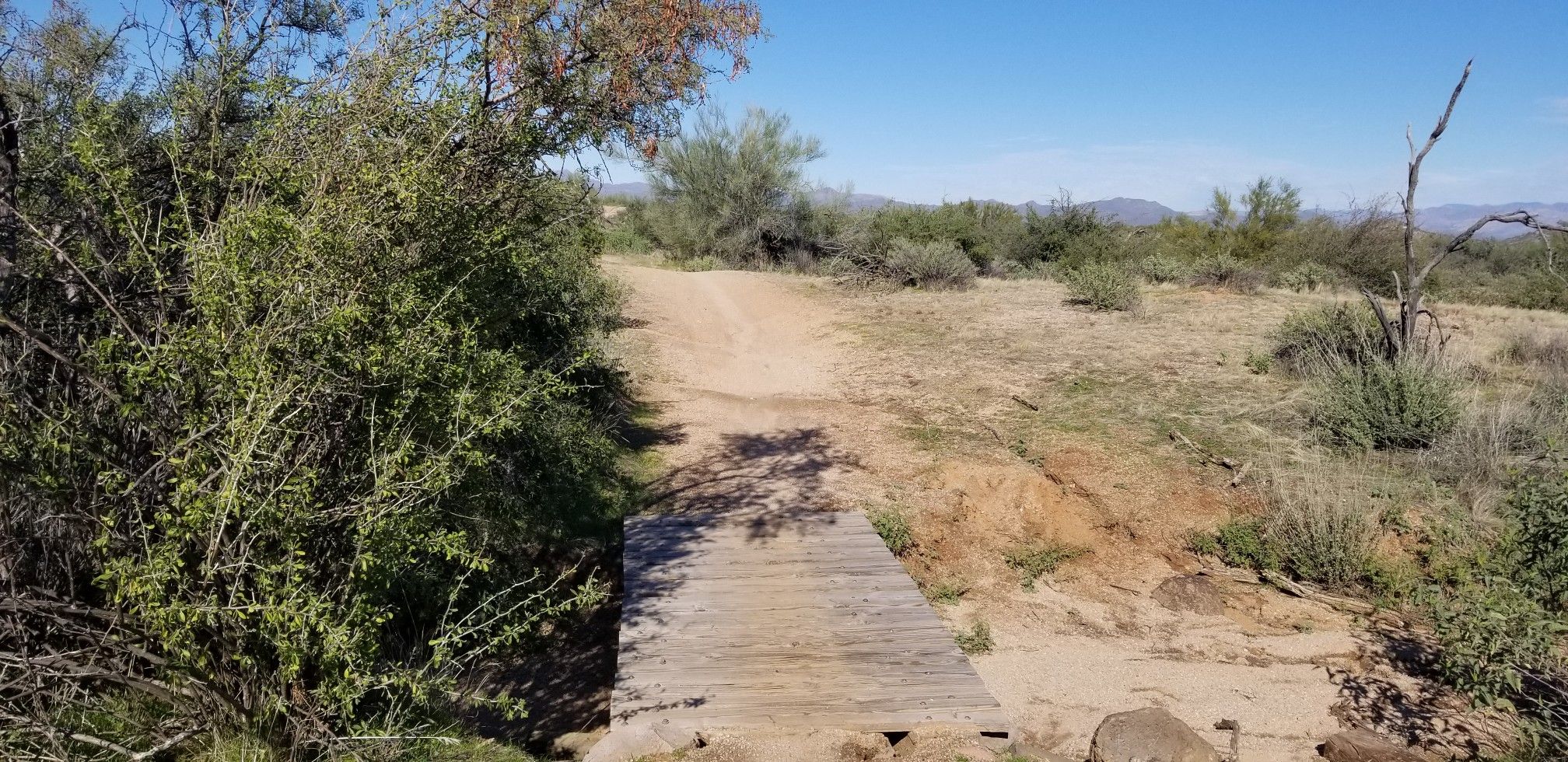 Wooden bridge over a dry wash on a sunny desert path. - Pemberton Trail (East Side) loop from Asher Hills