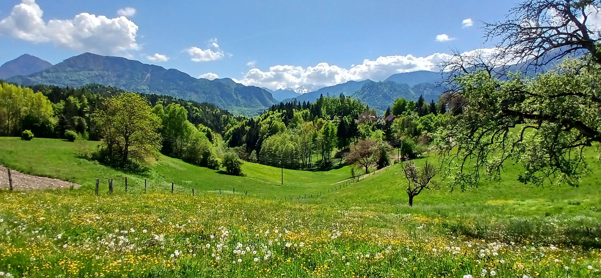 bei Proboj