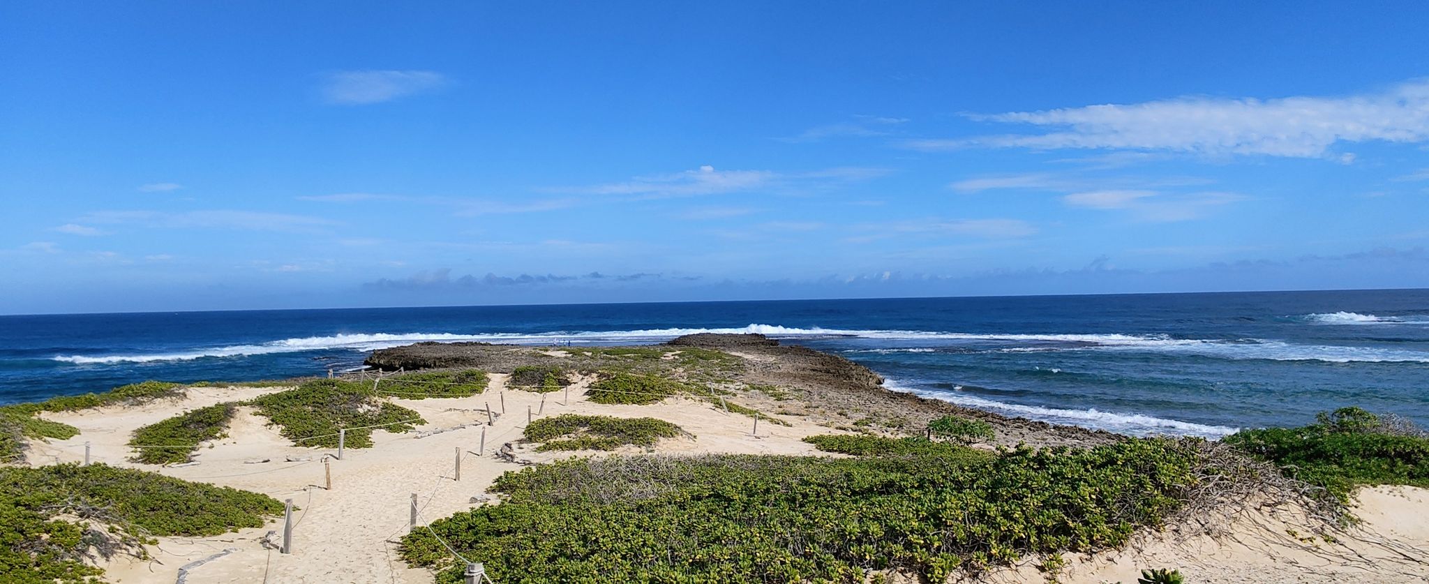 Sandy coastline with green shrubs and blue ocean under a clear sky. - Turtle Bay to Kahuku Point