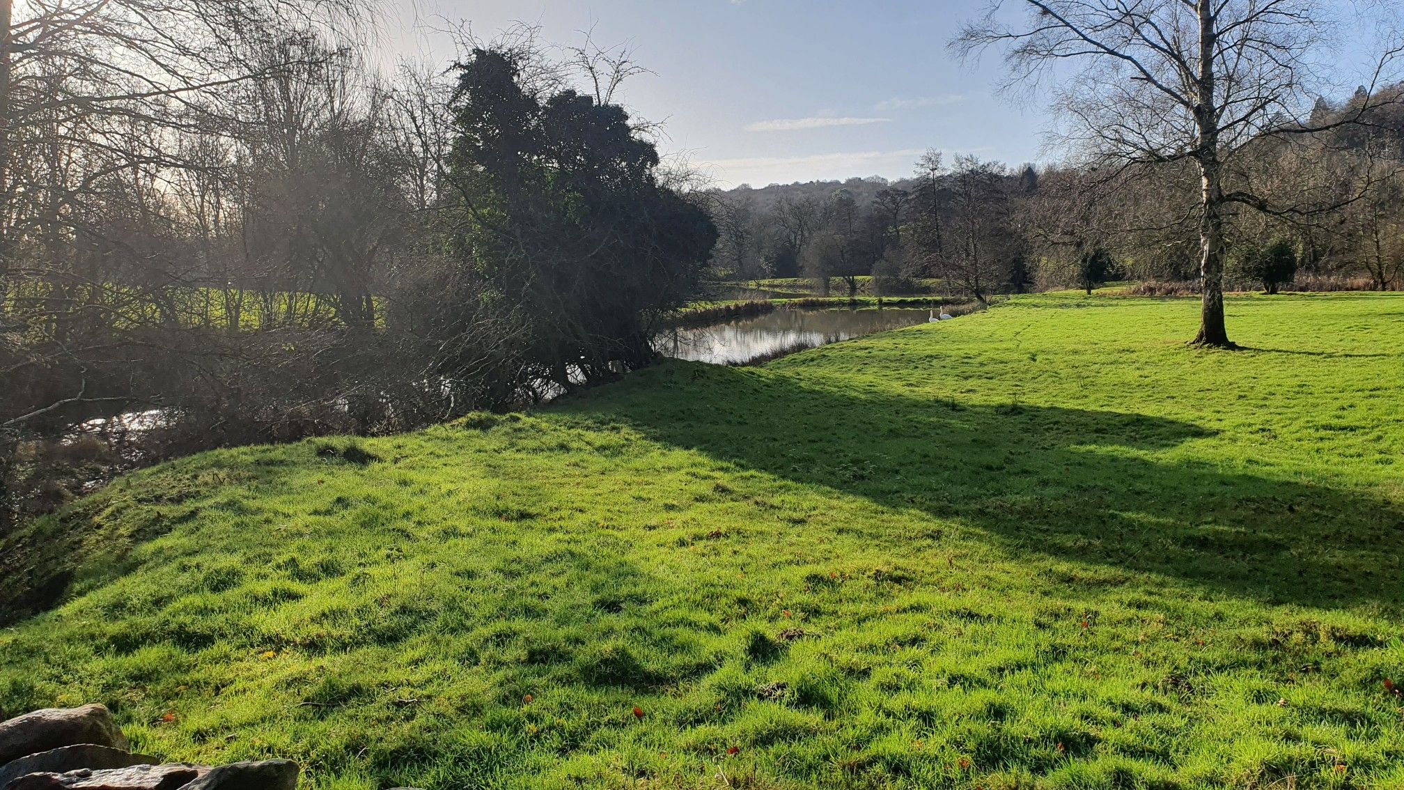 Ulvescroft Pond
