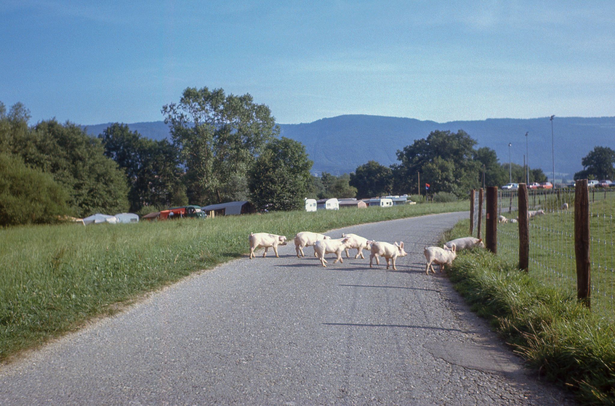 Einfahrt zum Campingplatz in Delémont
