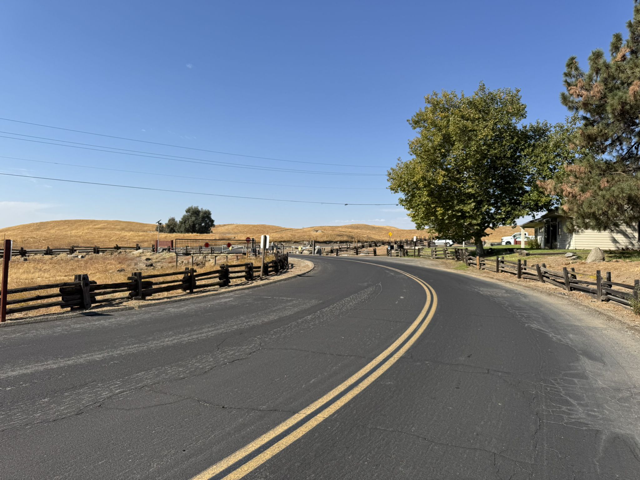 Curved road with golden hills, green trees, and a clear blue sky. - Fresno to Millerton Lake loop via Old Town Trail
