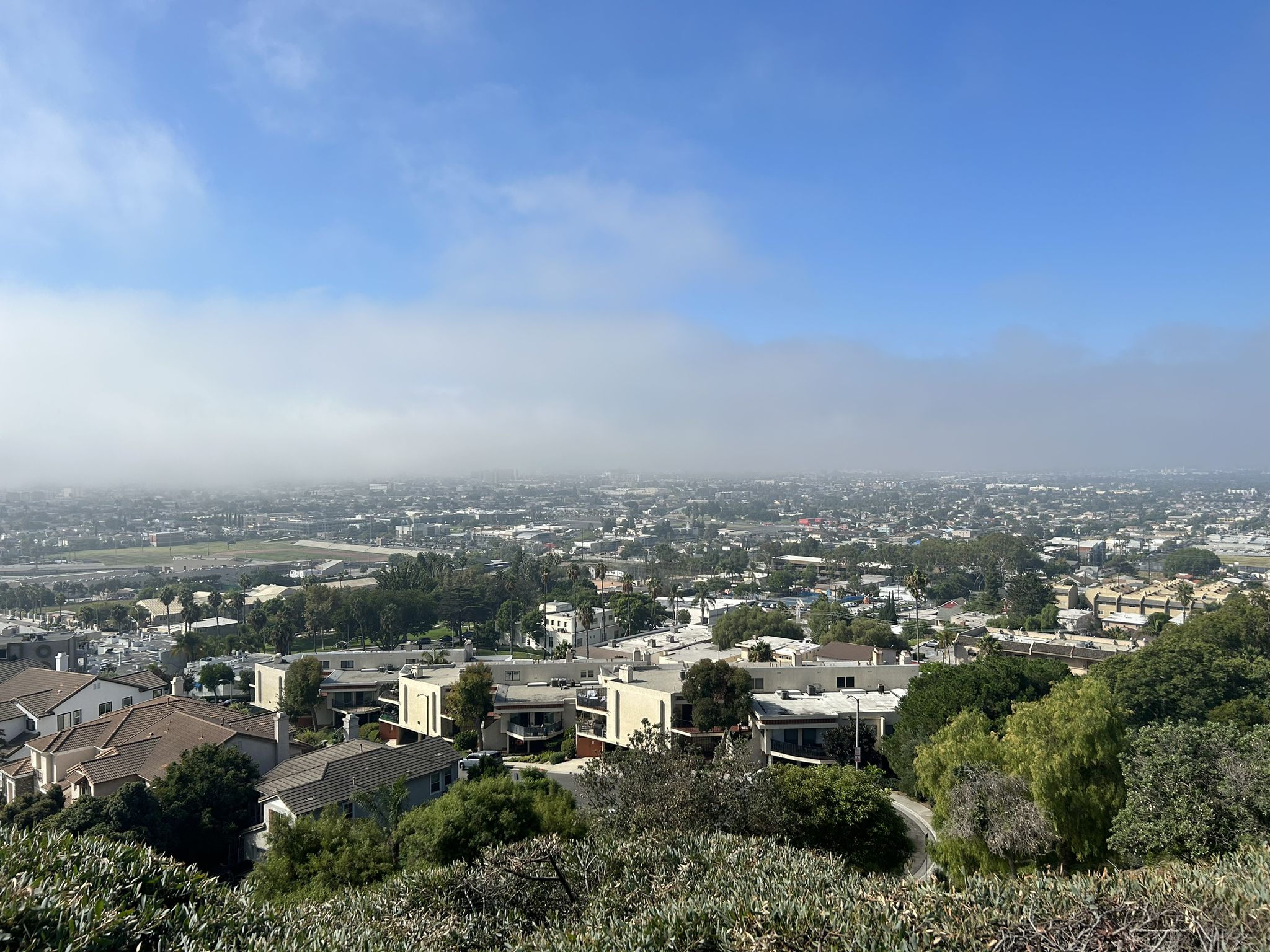 Expansive city view from a hill, with distant fog under a blue sky. - Signal Hill Trail