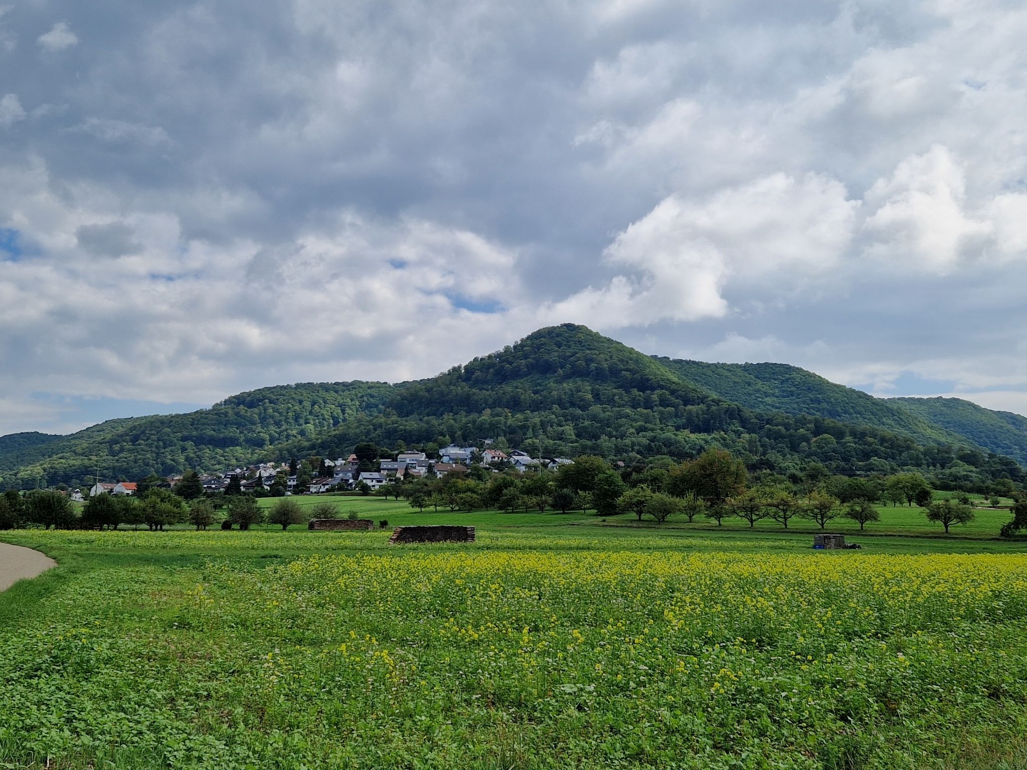 Buckleter Kapf mit Dettingen-Buchhalde
