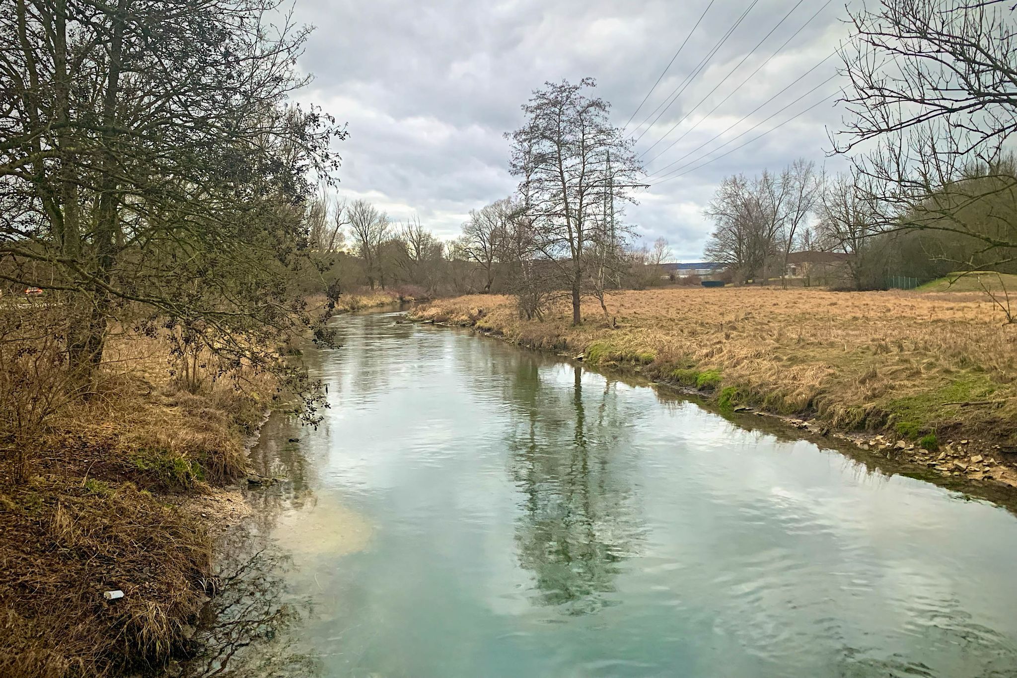 Brenz Blick Richtung Vogelinsel