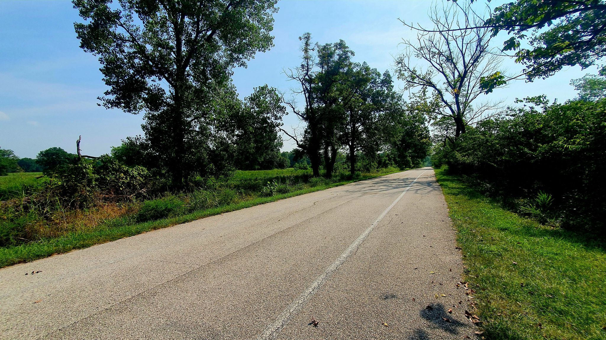 Paved road winding through green trees and grass under a clear sky. - Downtown Eureka loop from Eureka