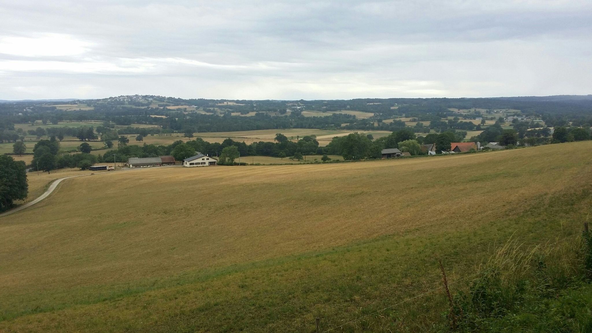Es nieselt...