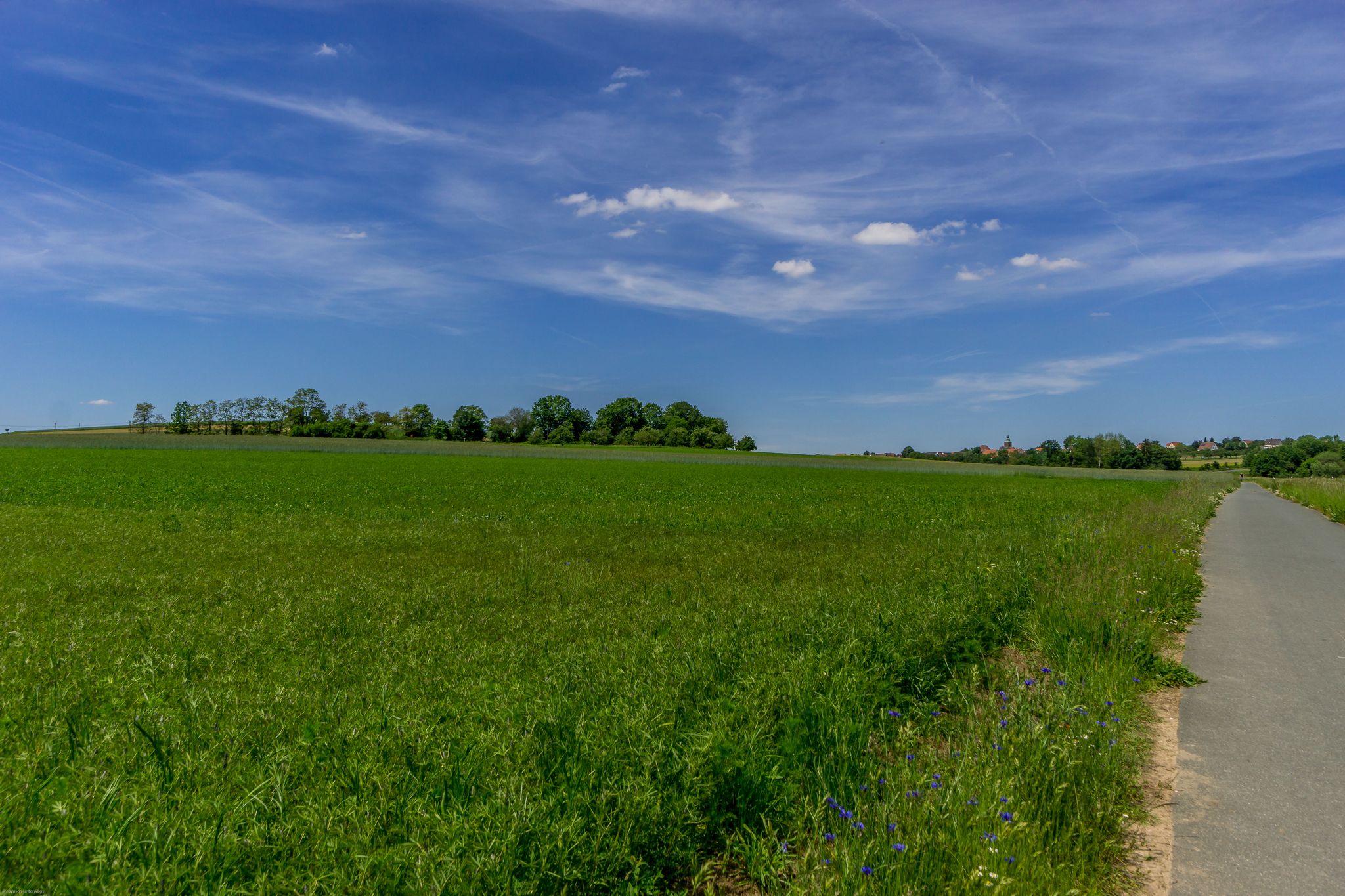 Panoramablick
