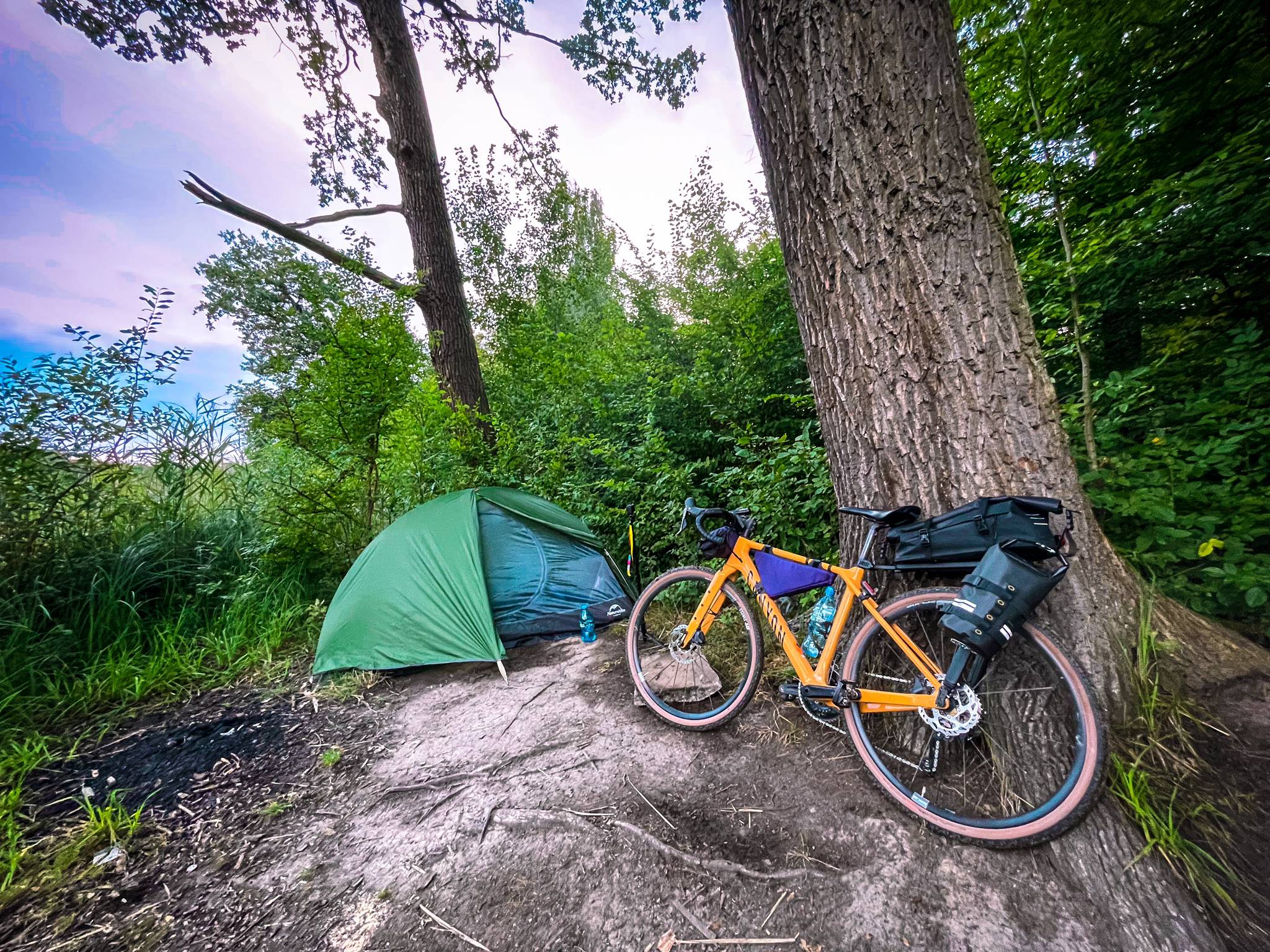 My bike against the tree and my tent. This is my small setup for bikepacking solo.