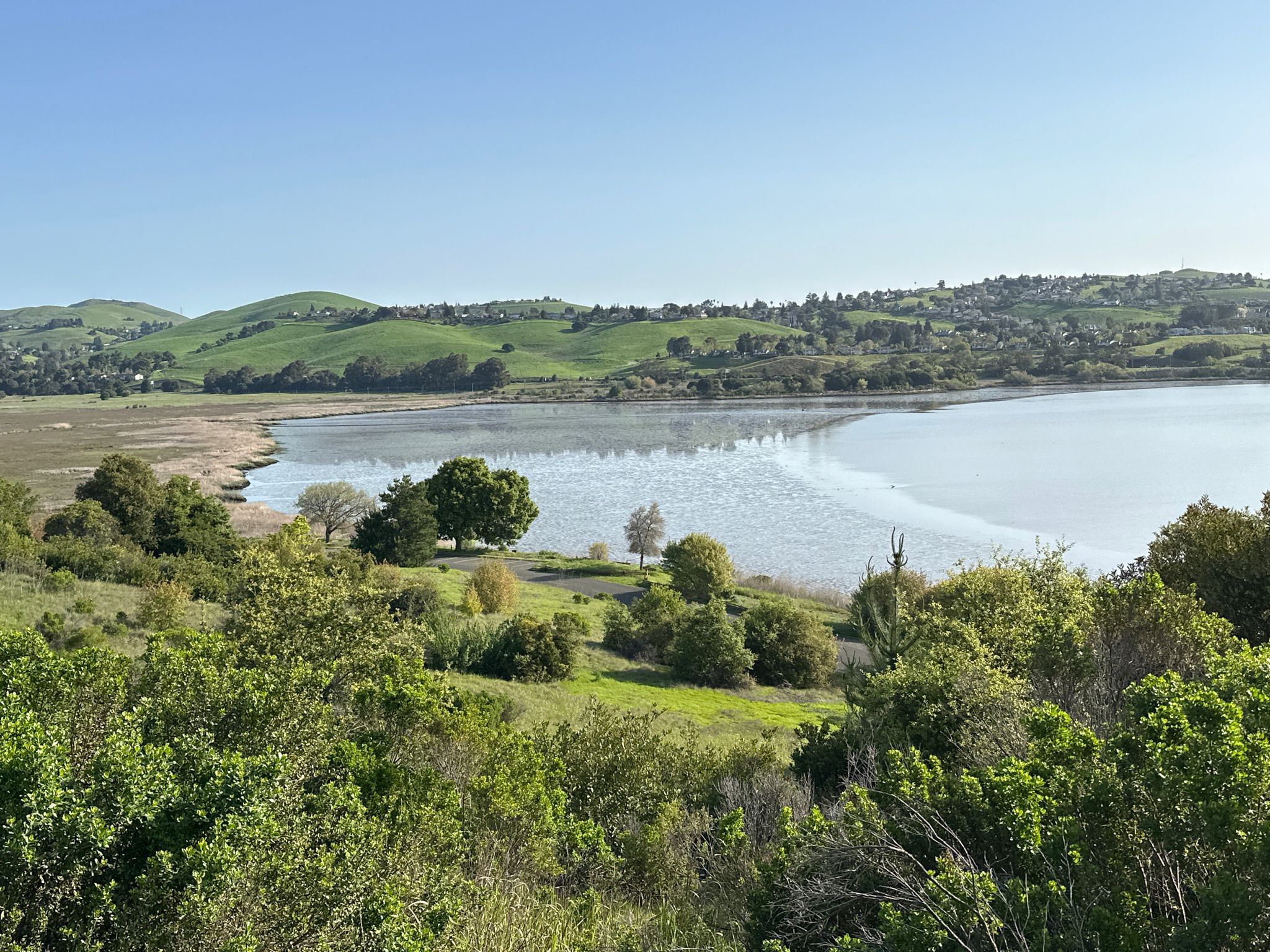 Calm water next to green rolling hills under a clear blue sky. - San Francisco Bay & Carquinez Strait Trails loop