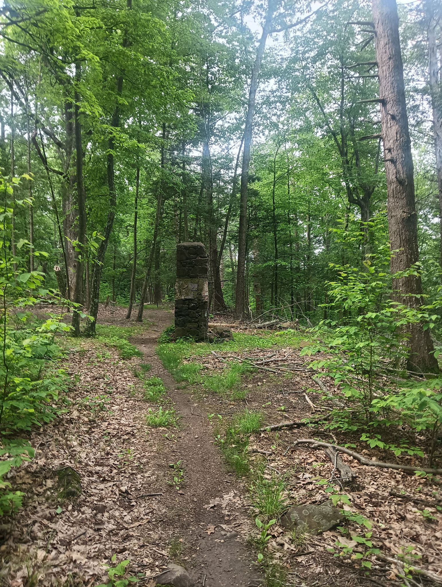A stone chimney stands on a dirt path in a green, leafy forest. - Hatchett Hill – Laurel Hill loop from Hallview I Open Space