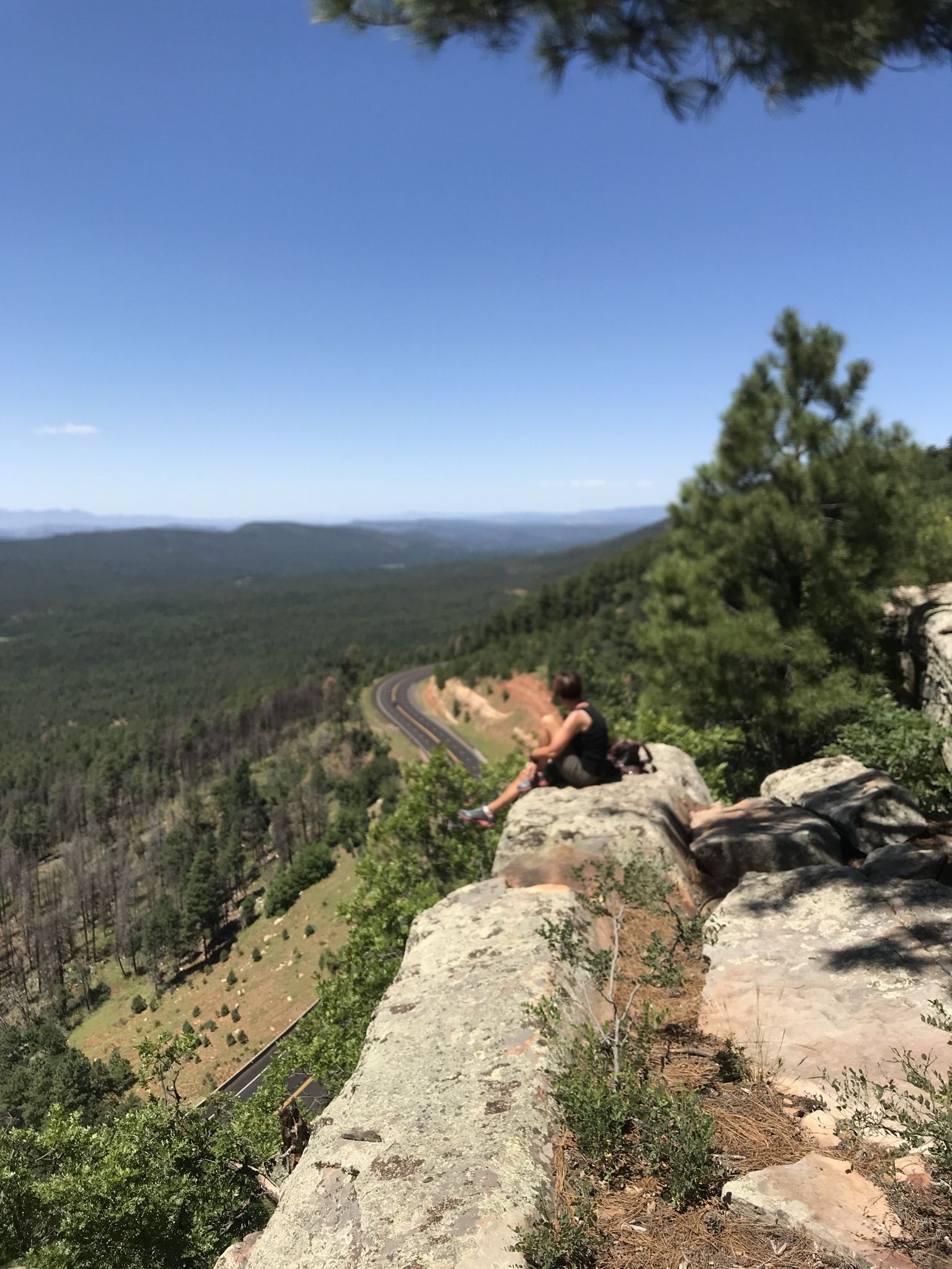 Person sits on a sunny cliff edge overlooking a vast forested valley. - Rim Lakes Vista and Old Rim Road Loop