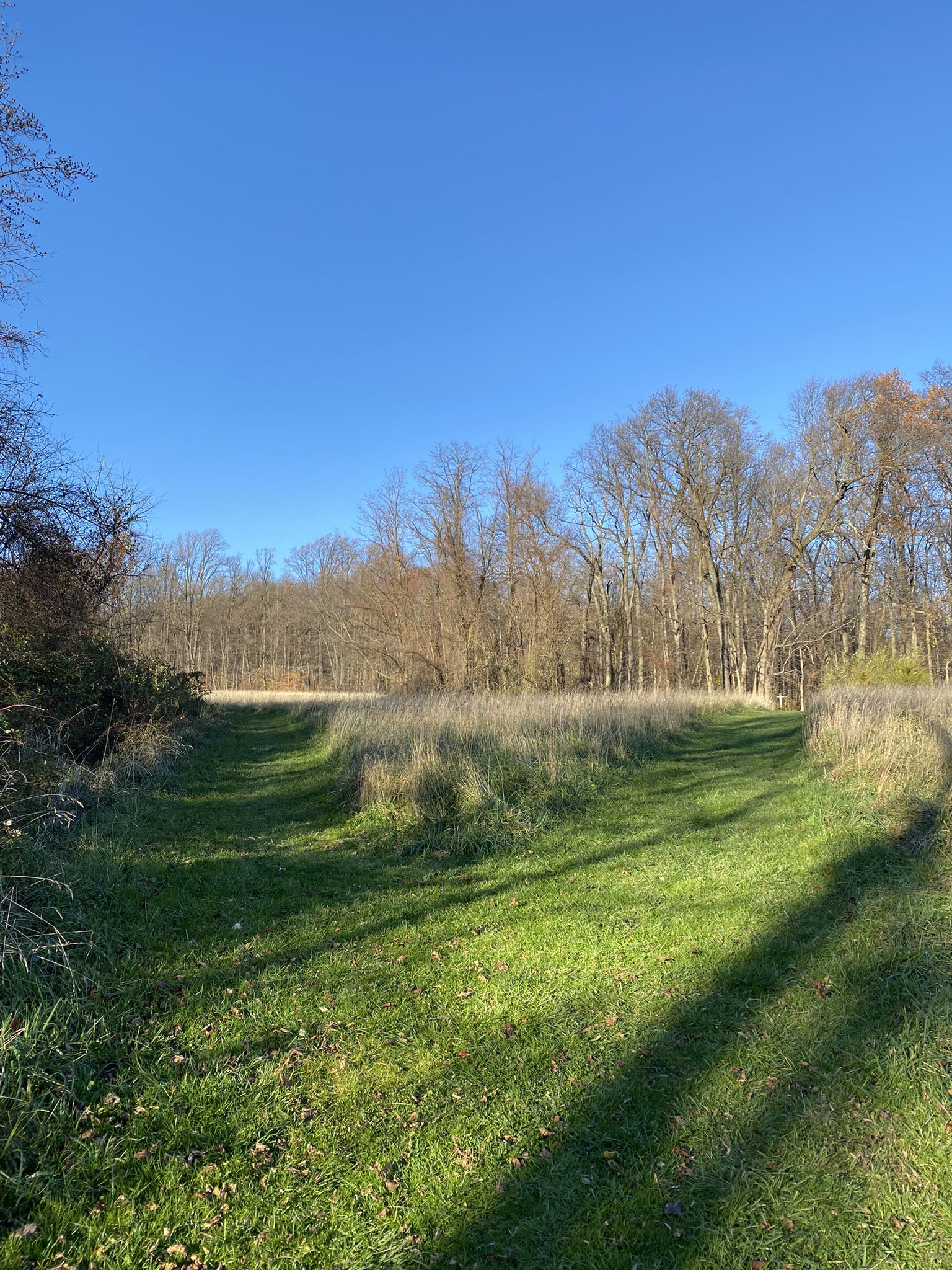 A wide grassy field under a clear blue sky, bordered by distant trees. - Coventry Woods Park – Coventry Woods Park loop from Coventry Woods Park