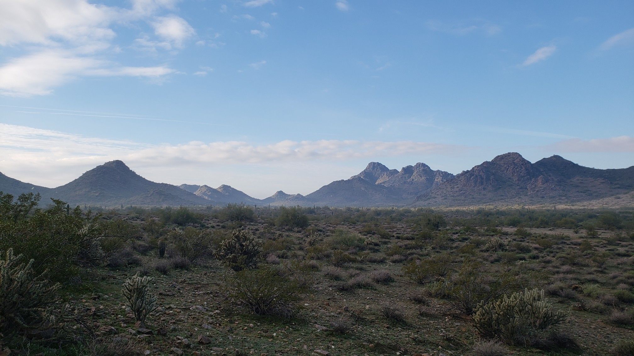 Vast desert landscape with scrub brush leading to distant mountains under a clear sky. - Dixie Peak Trail