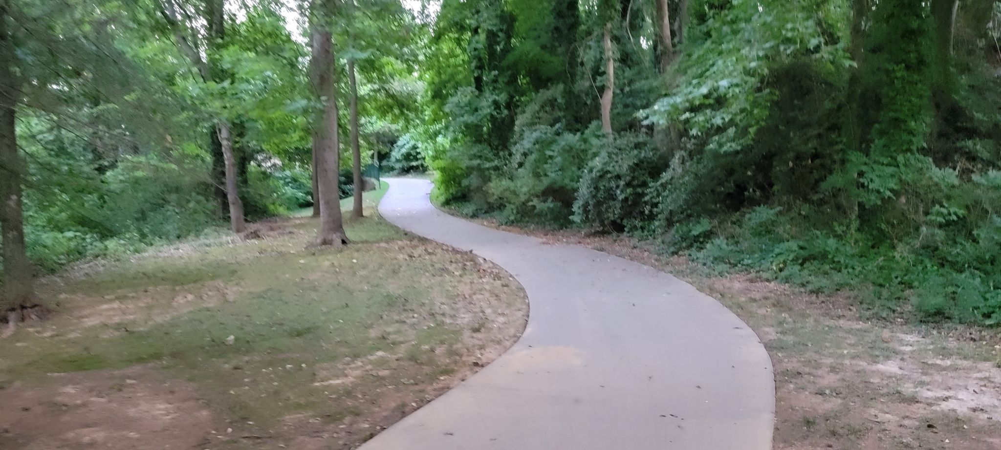 Winding paved path through a lush green forest on an overcast day. - Rock Creek Greenway