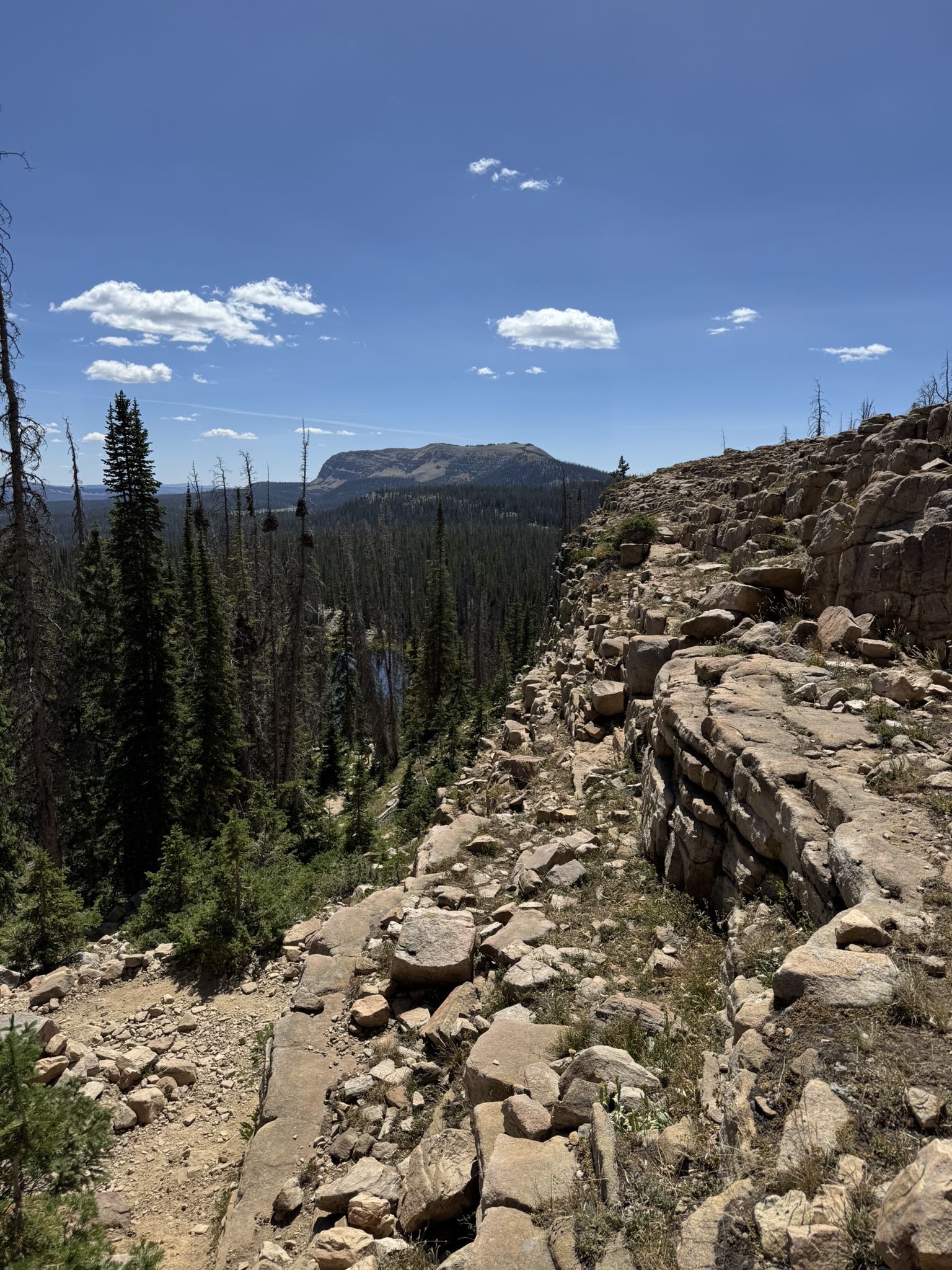 Rocky mountain trail overlooking a forest and distant peak on a sunny day. - Ibantik Lake Trail