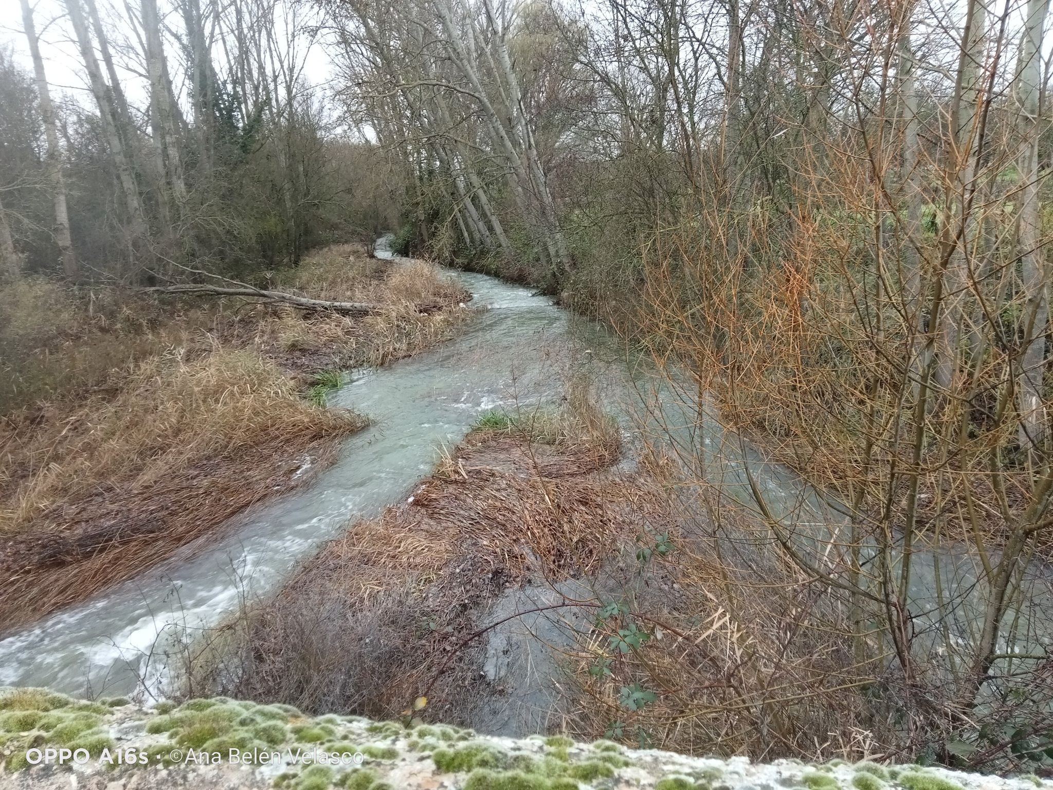 rio esgueva