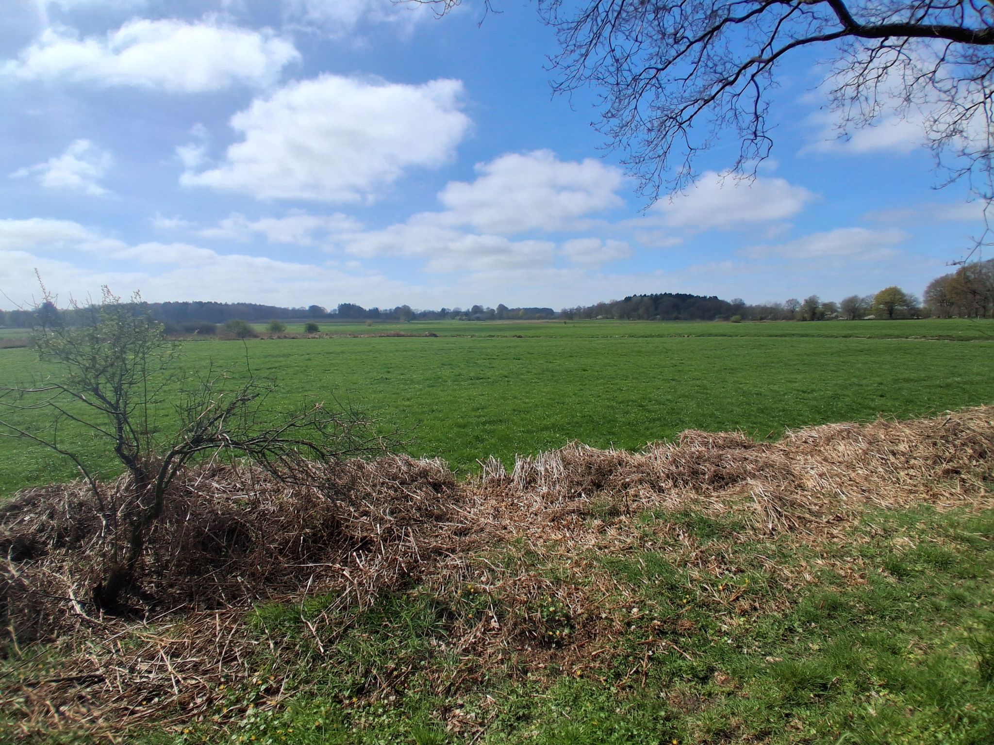Blick ins platte Land....