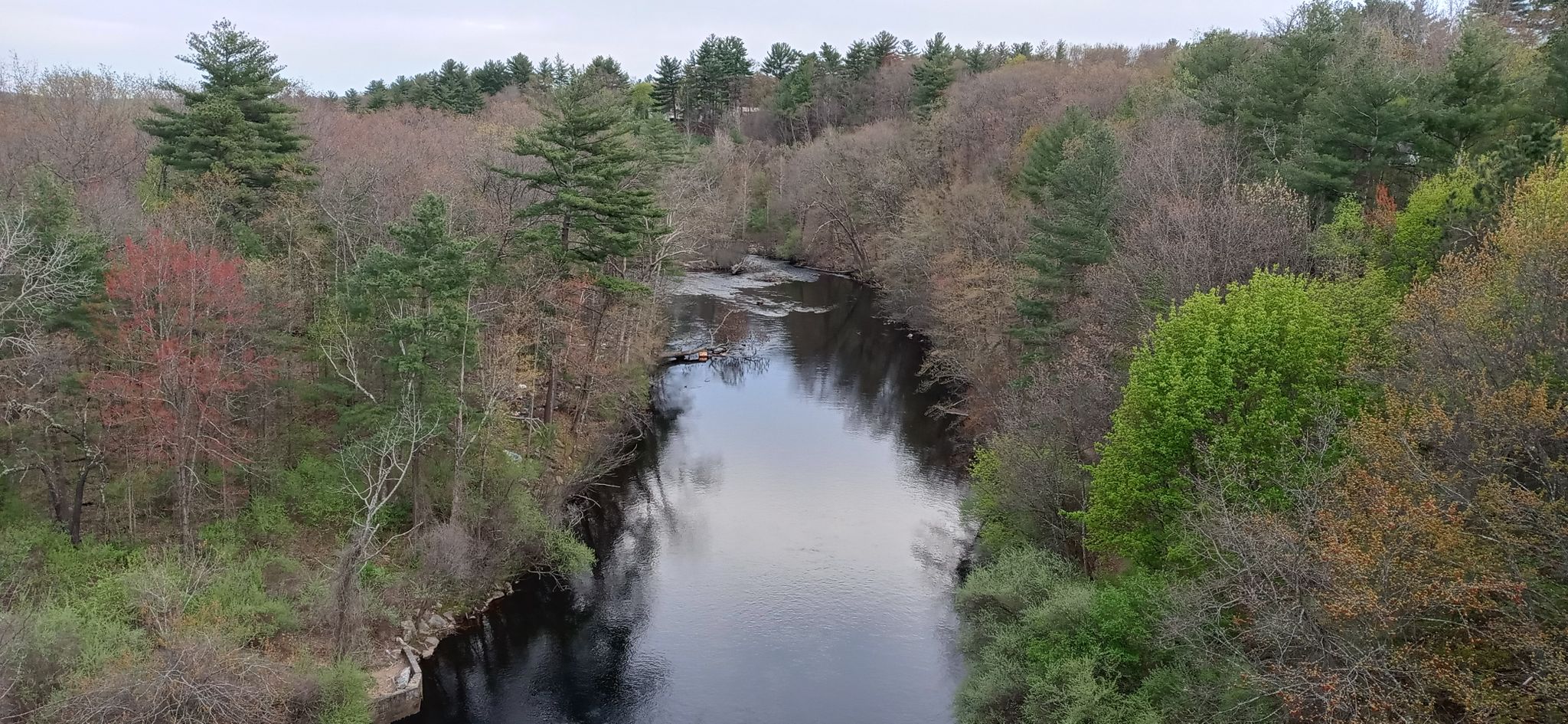 River winding through a dense forest with varied green and brown foliage. - Forest Road – Antrim Road loop from Manchester–Boston Regional Airport