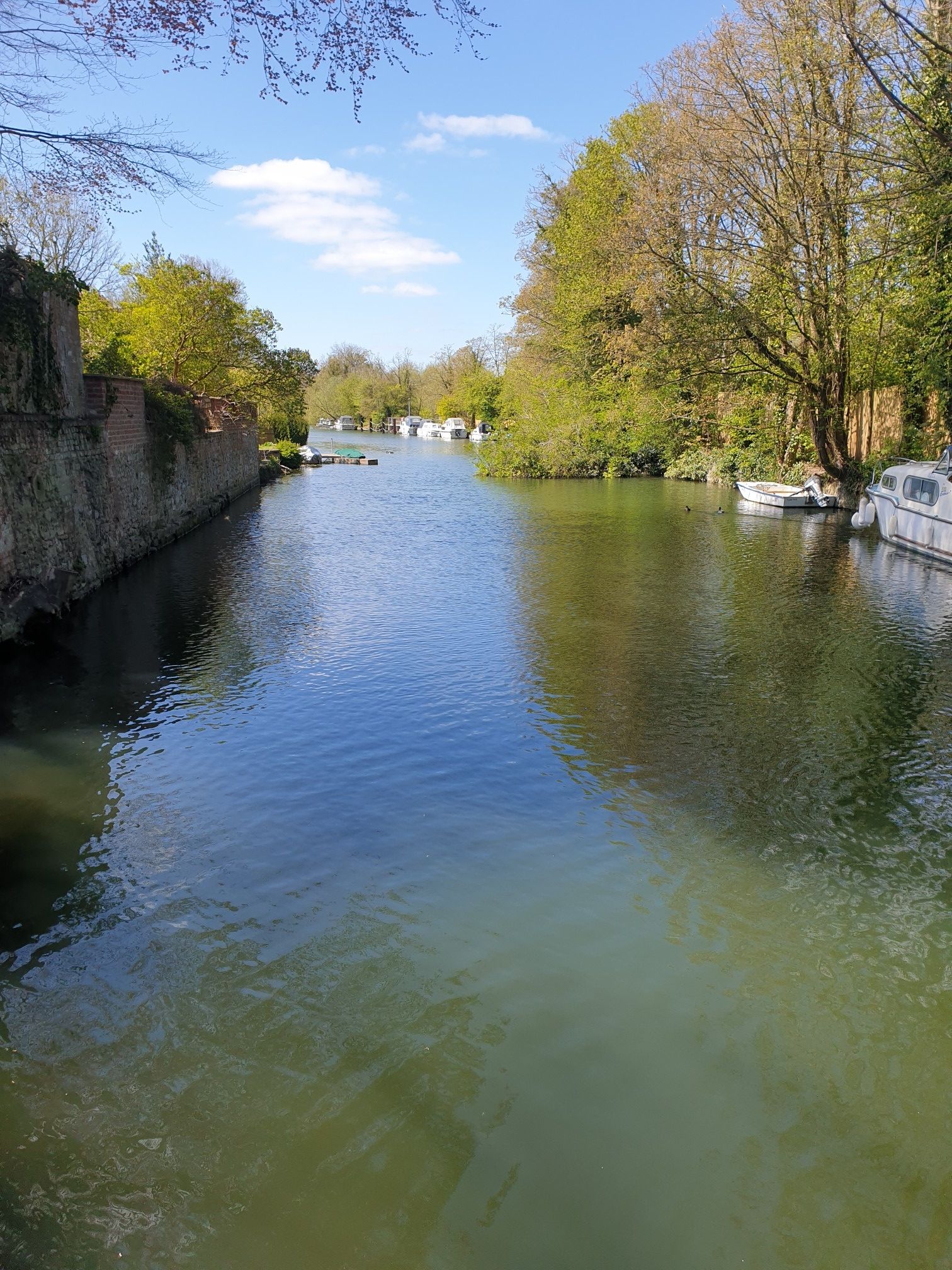 Culham dock