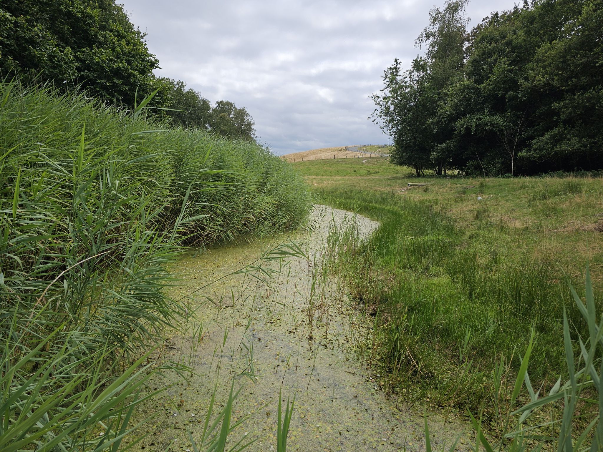 terugblik op de VAM berg
