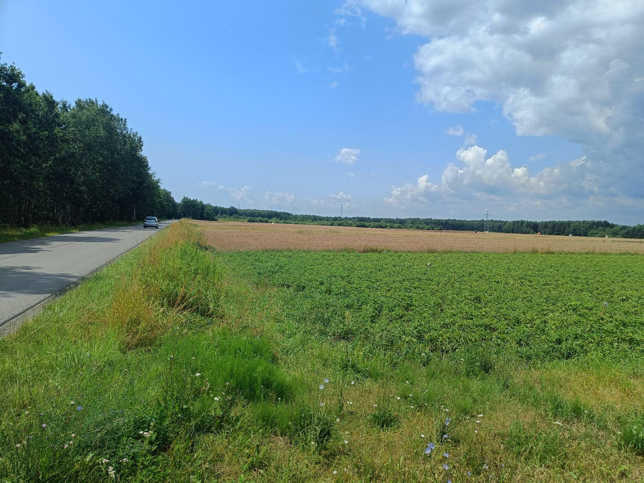 Żupawa